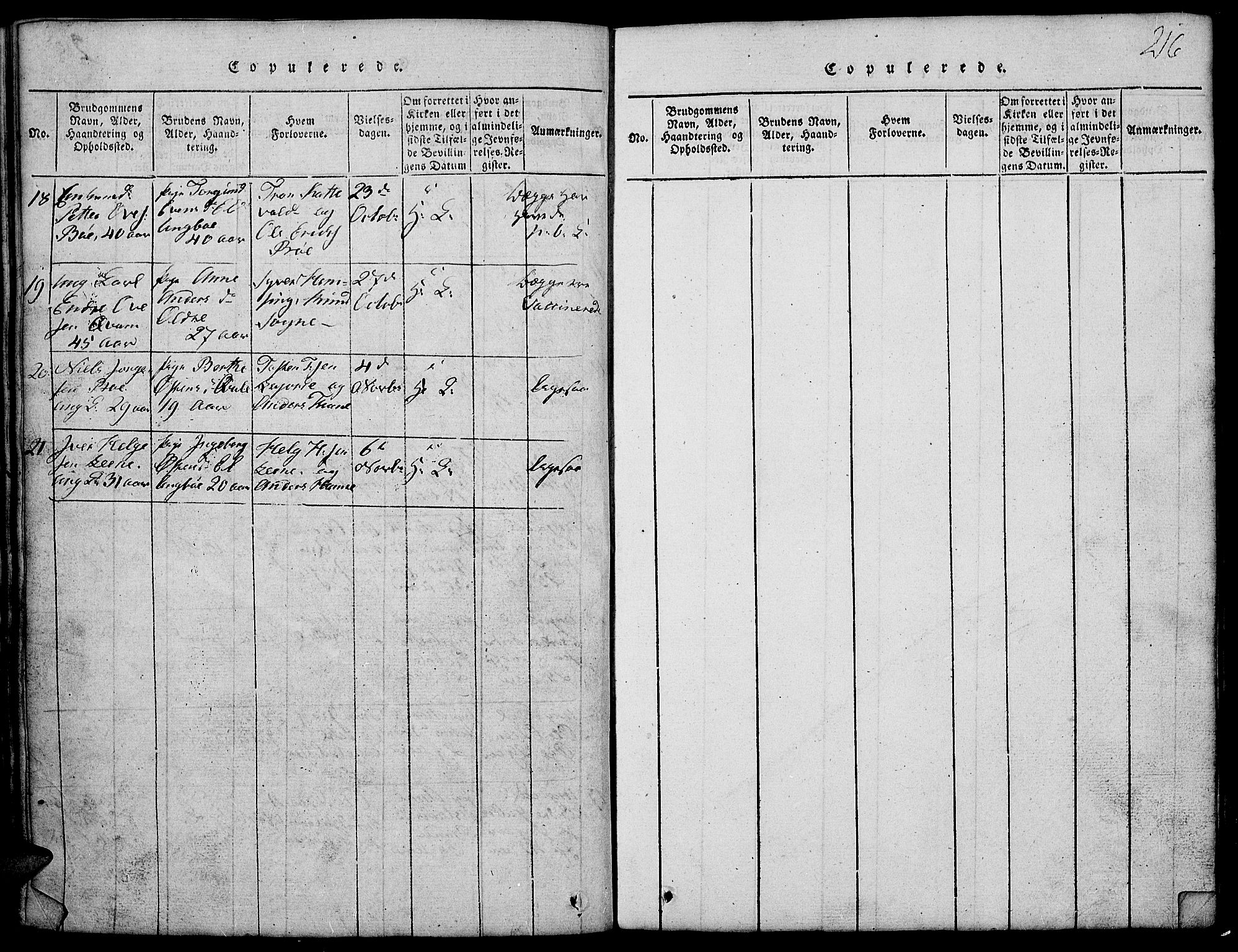 Vang prestekontor, Valdres, SAH/PREST-140/H/Hb/L0002: Parish register (copy) no. 2, 1814-1889, p. 216