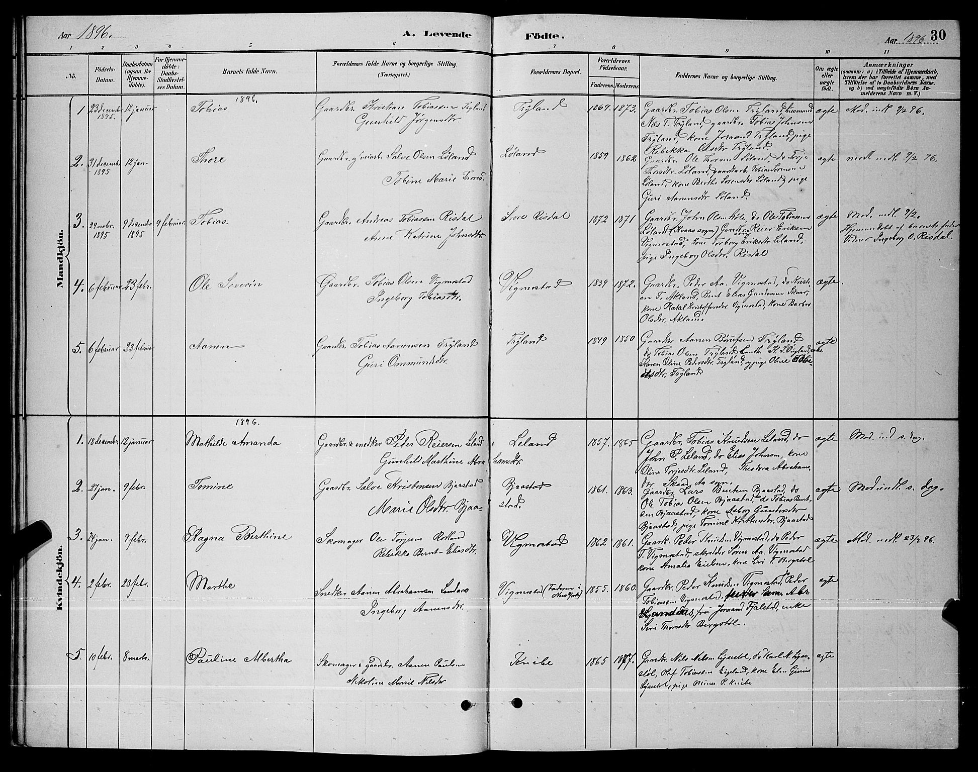 Nord-Audnedal sokneprestkontor, AV/SAK-1111-0032/F/Fb/Fbb/L0003: Parish register (copy) no. B 3, 1882-1900, p. 30