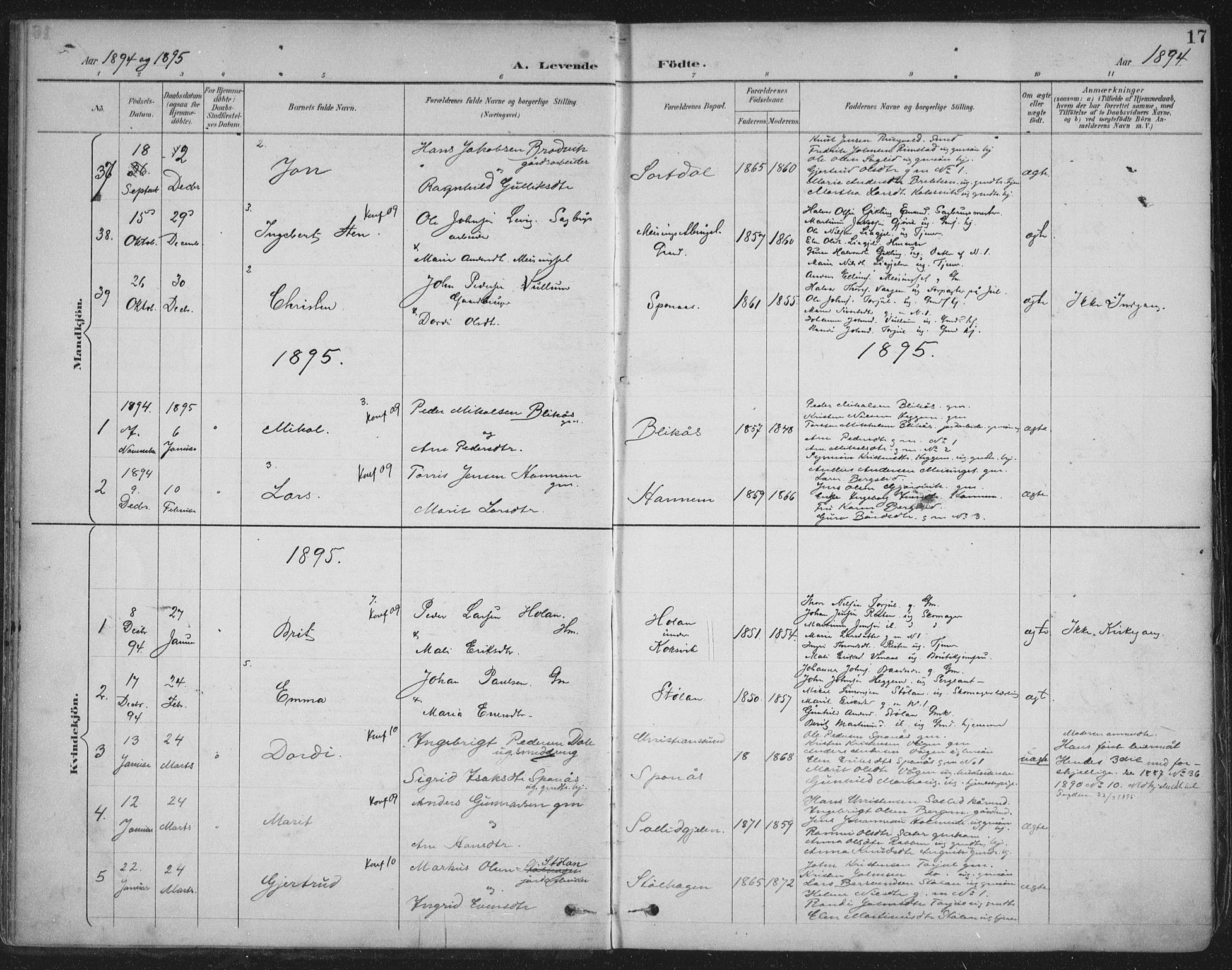 Ministerialprotokoller, klokkerbøker og fødselsregistre - Møre og Romsdal, AV/SAT-A-1454/586/L0988: Parish register (official) no. 586A14, 1893-1905, p. 17