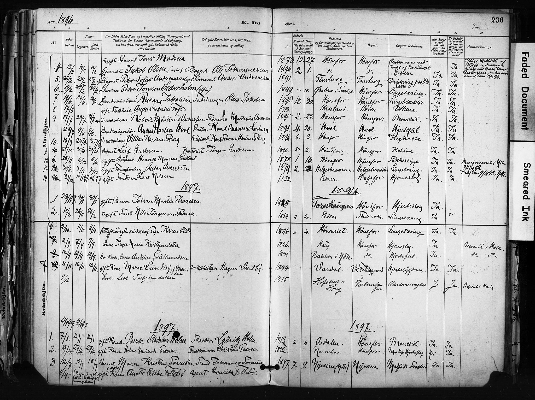 Hønefoss kirkebøker, SAKO/A-609/F/Fa/L0002: Parish register (official) no. 2, 1887-1906, p. 236