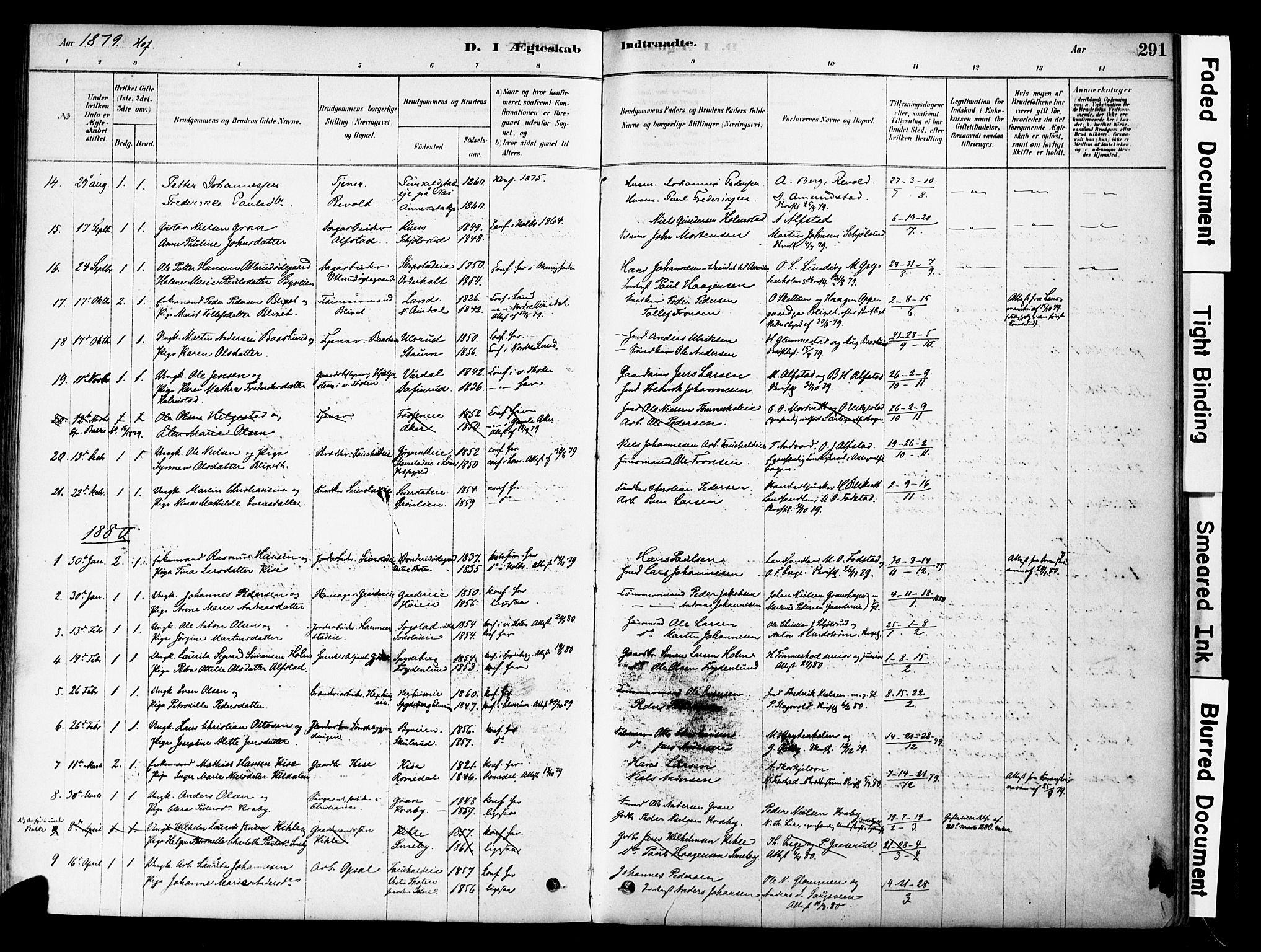 Østre Toten prestekontor, SAH/PREST-104/H/Ha/Haa/L0006: Parish register (official) no. 6 /1, 1878-1896, p. 291