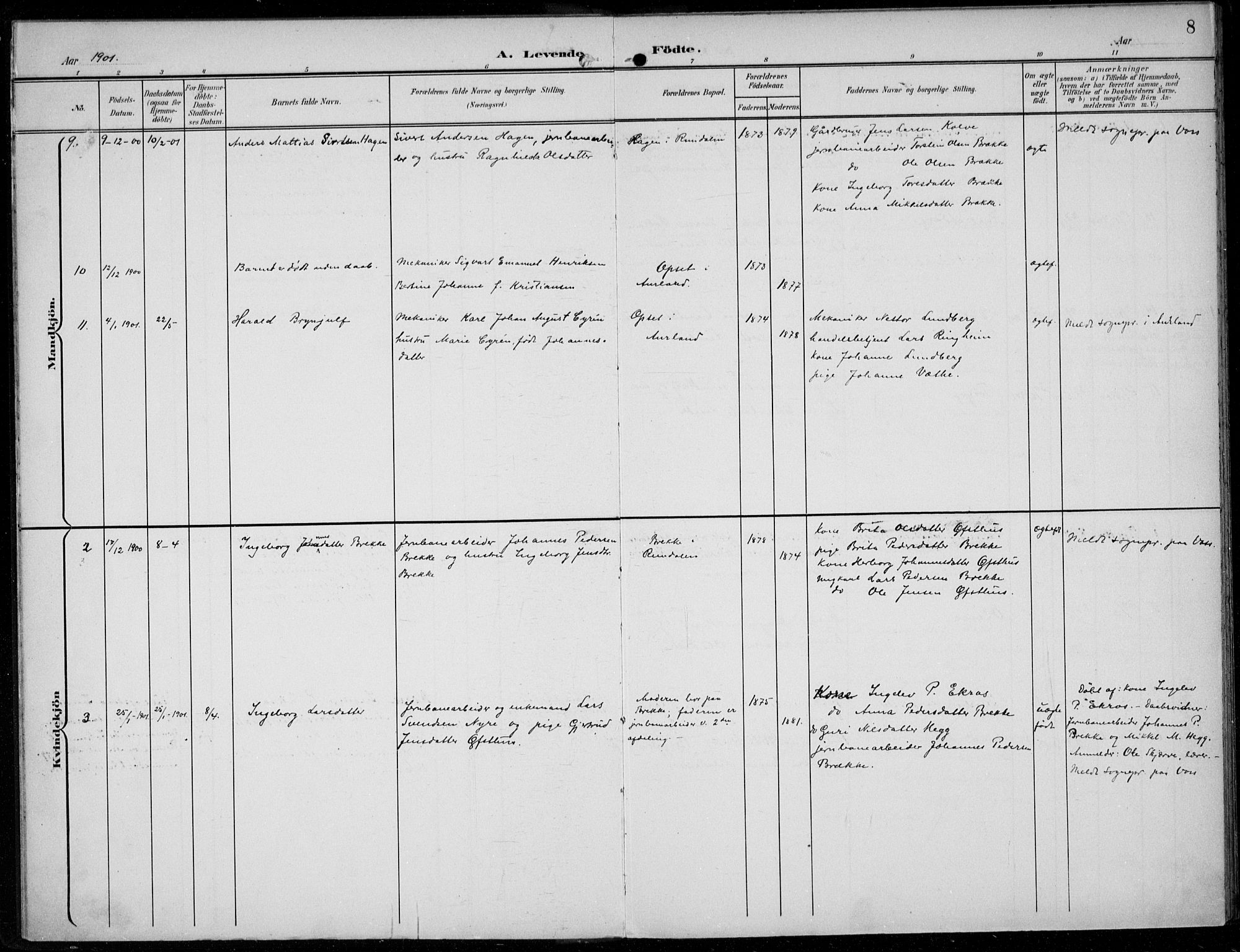 Parish register (official) no. A  1, 1900-1939, p. 8