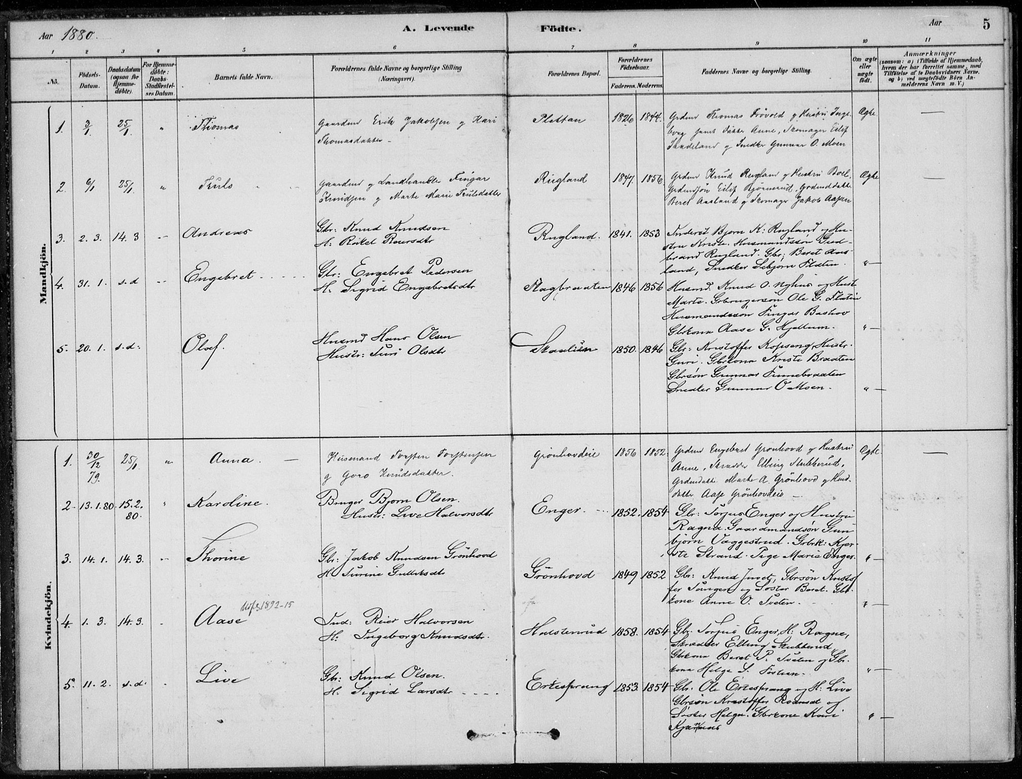 Sigdal kirkebøker, SAKO/A-245/F/Fc/L0001: Parish register (official) no. III 1, 1879-1893, p. 5