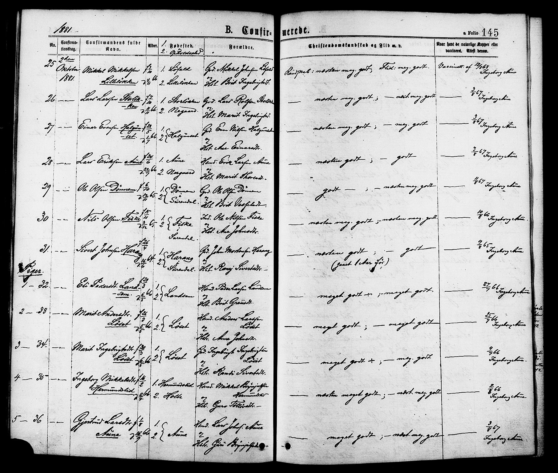 Ministerialprotokoller, klokkerbøker og fødselsregistre - Møre og Romsdal, AV/SAT-A-1454/598/L1068: Parish register (official) no. 598A02, 1872-1881, p. 145