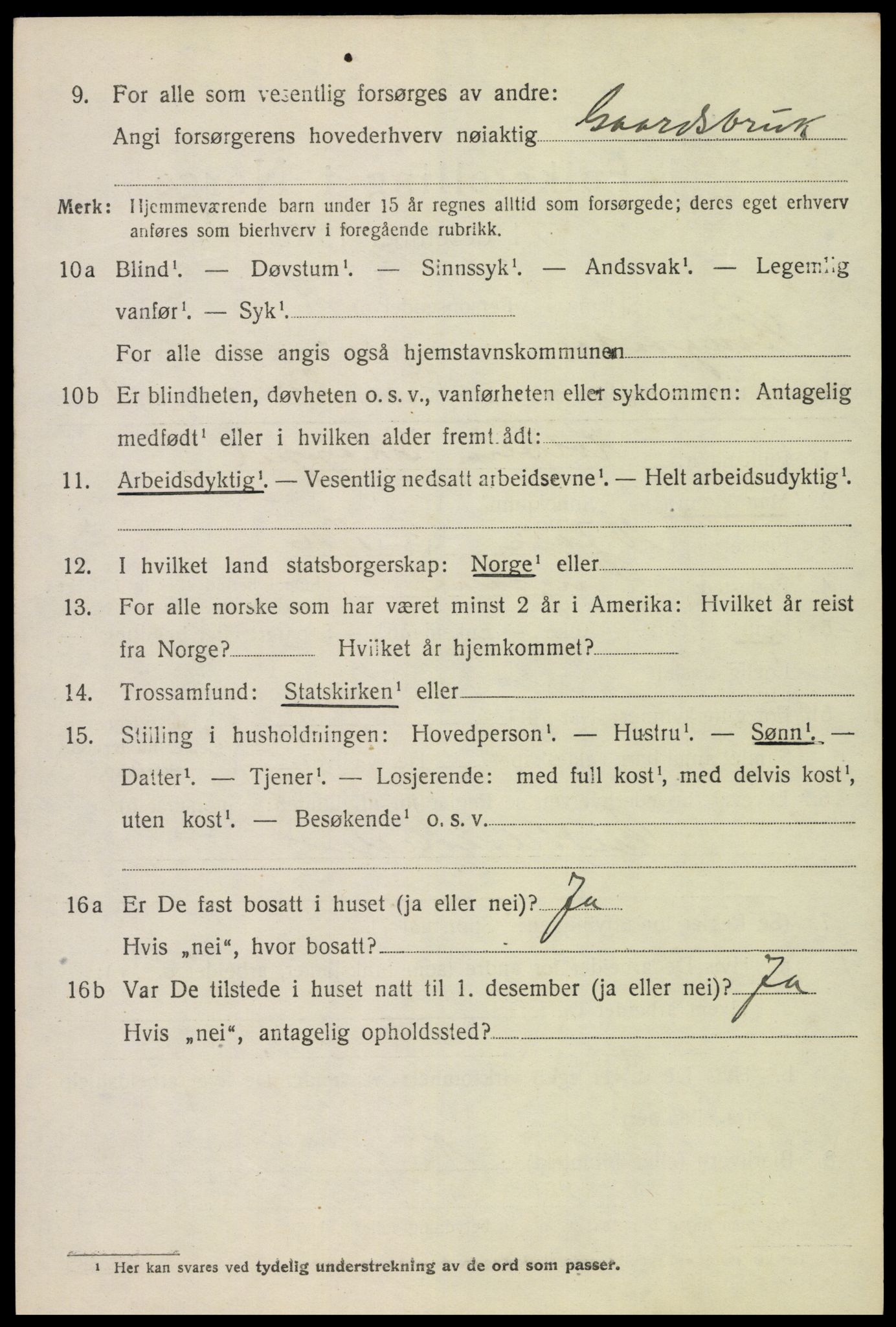 SAH, 1920 census for Ringsaker, 1920, p. 11181