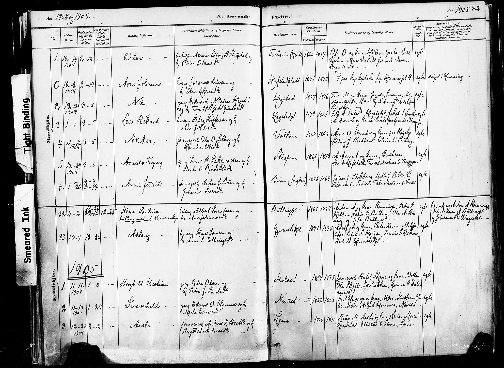 Ministerialprotokoller, klokkerbøker og fødselsregistre - Nord-Trøndelag, SAT/A-1458/735/L0351: Parish register (official) no. 735A10, 1884-1908, p. 85