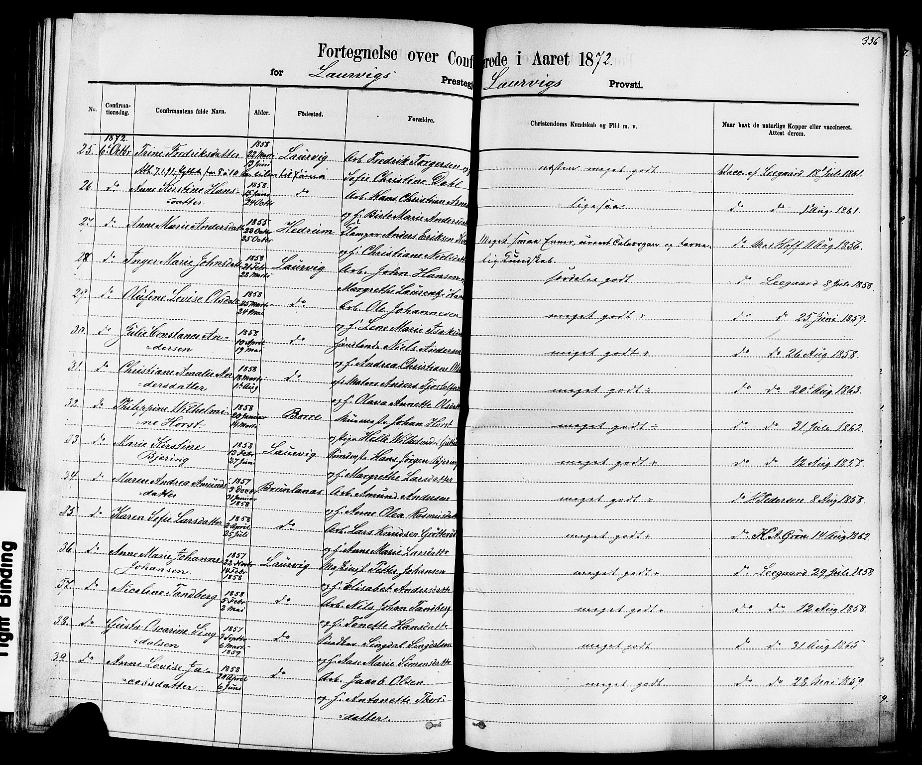 Larvik kirkebøker, AV/SAKO-A-352/F/Fa/L0006: Parish register (official) no. I 6, 1871-1883, p. 356