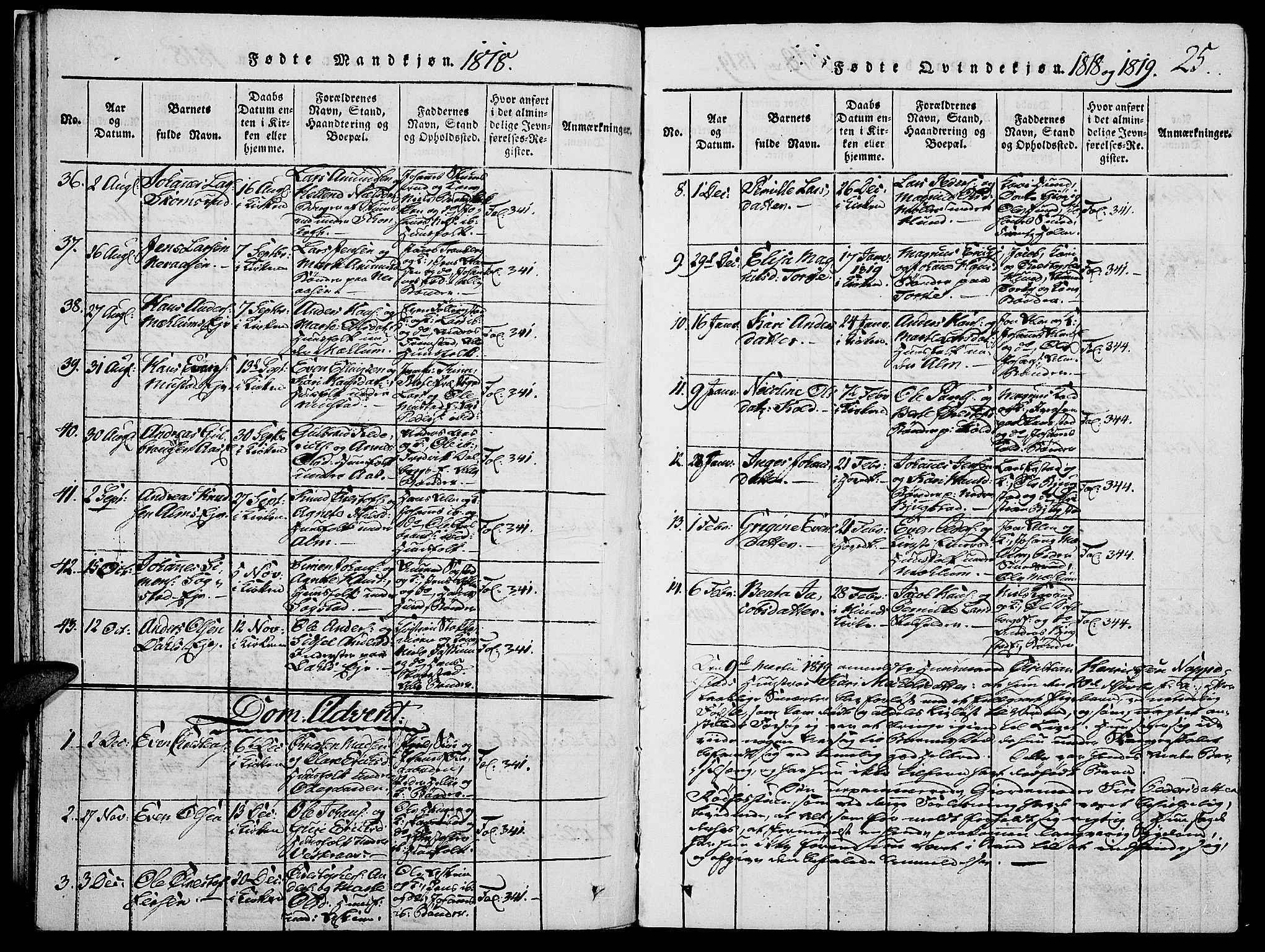 Vardal prestekontor, SAH/PREST-100/H/Ha/Haa/L0004: Parish register (official) no. 4, 1814-1831, p. 25