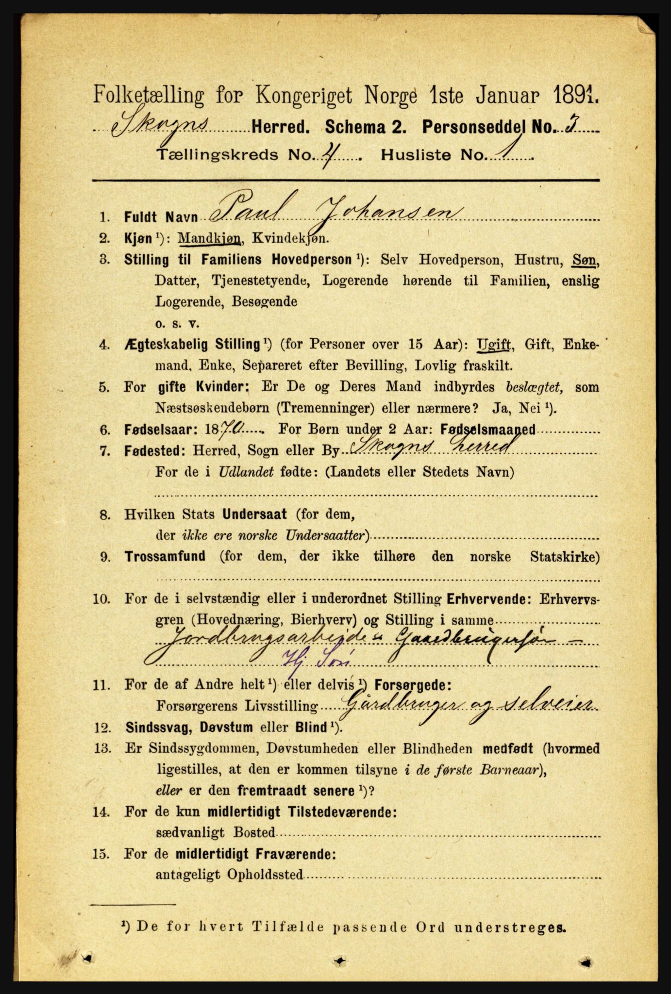 RA, 1891 census for 1719 Skogn, 1891, p. 2361