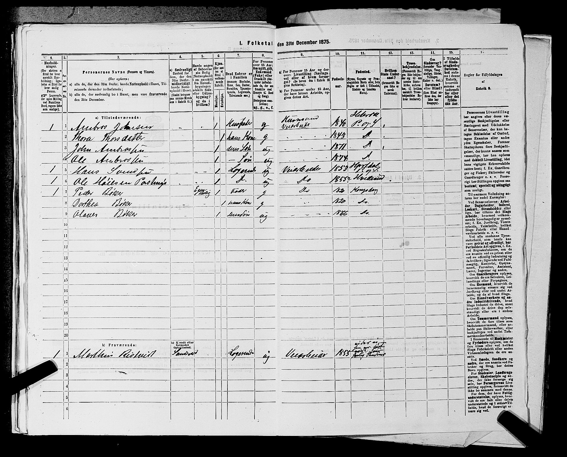 SAKO, 1875 census for 0823P Heddal, 1875, p. 697