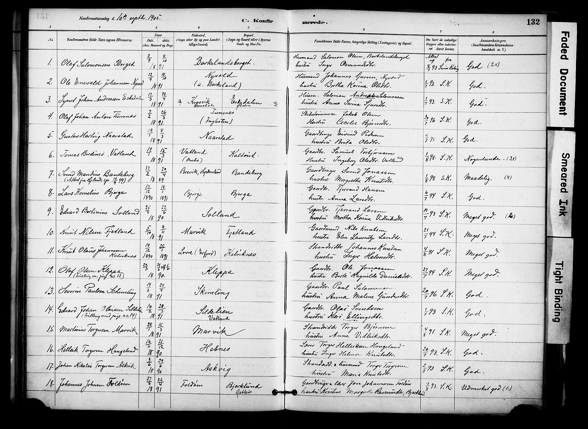 Jelsa sokneprestkontor, AV/SAST-A-101842/01/IV: Parish register (official) no. A 10, 1884-1906, p. 132