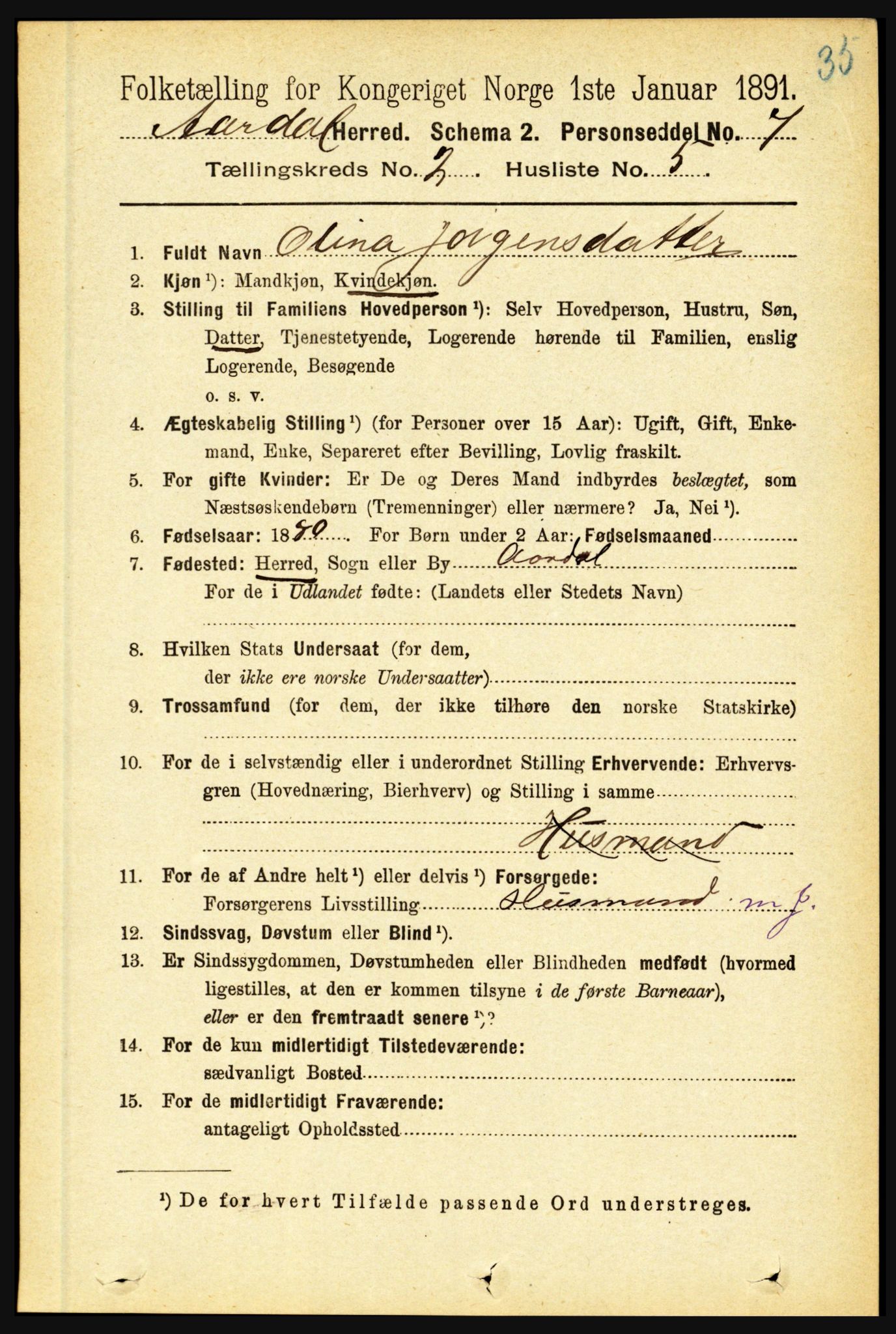 RA, 1891 census for 1424 Årdal, 1891, p. 202