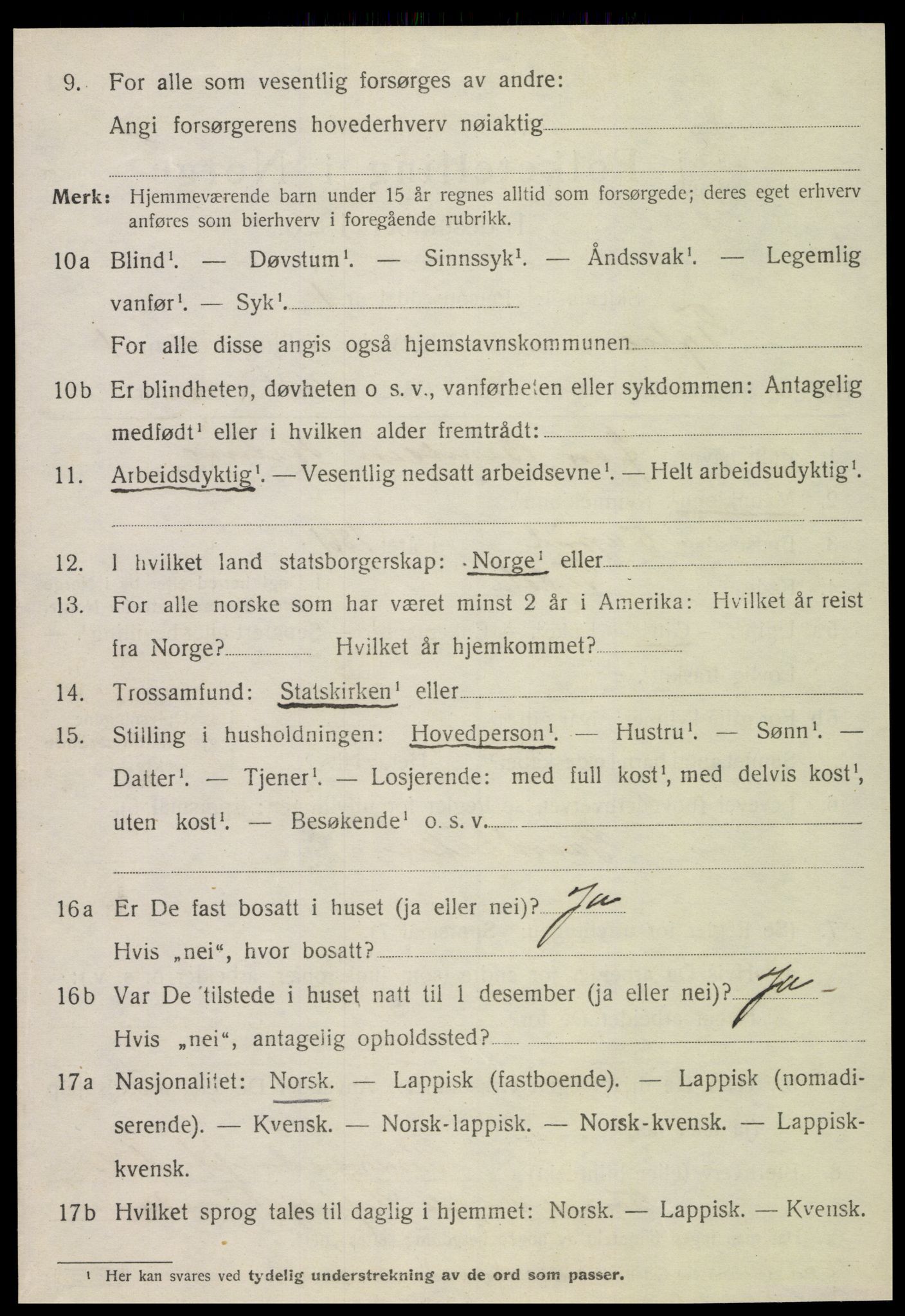 SAT, 1920 census for Tydal, 1920, p. 310