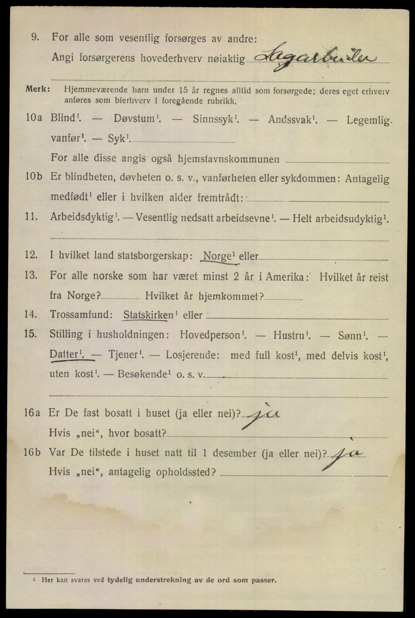 SAKO, 1920 census for Larvik, 1920, p. 29295