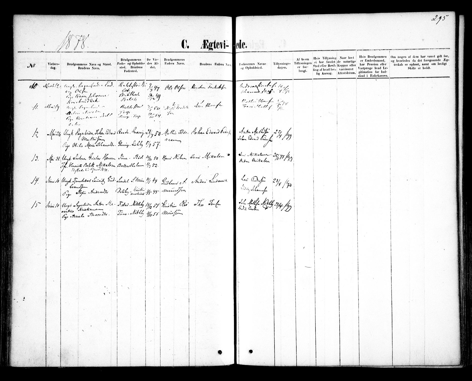 Glemmen prestekontor Kirkebøker, AV/SAO-A-10908/F/Fa/L0009: Parish register (official) no. 9, 1871-1878, p. 295