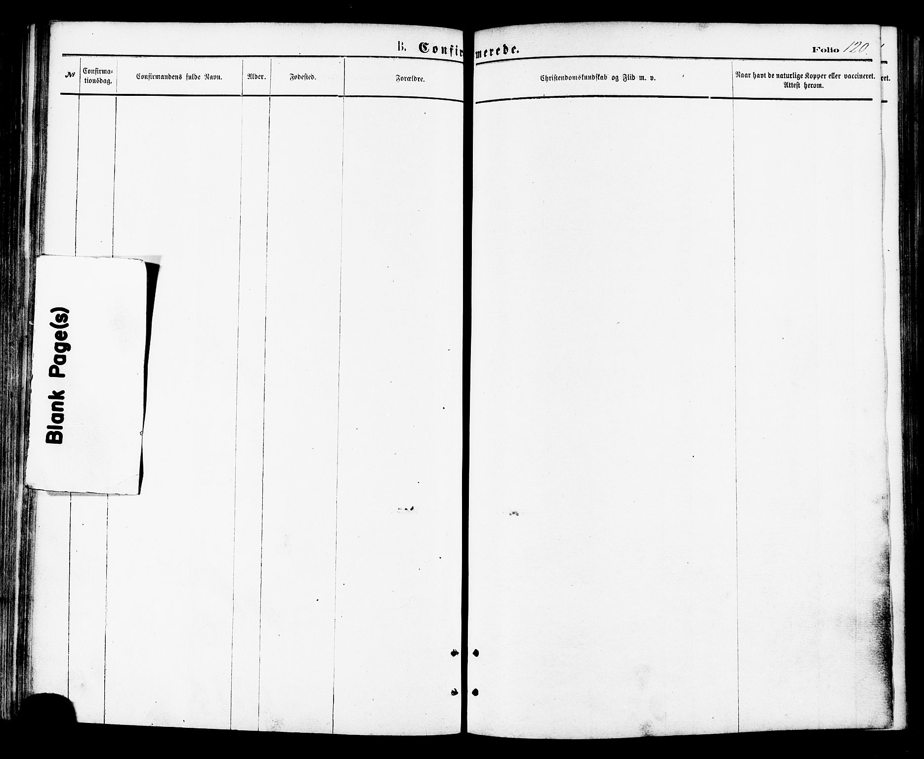 Ministerialprotokoller, klokkerbøker og fødselsregistre - Nordland, AV/SAT-A-1459/857/L0821: Parish register (official) no. 857A01, 1875-1889, p. 120