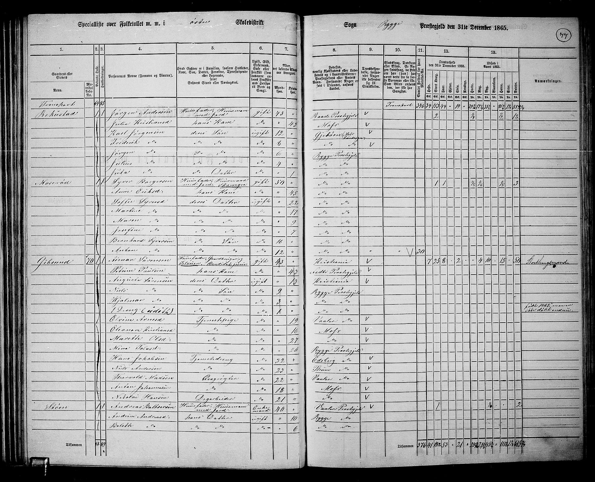 RA, 1865 census for Rygge, 1865, p. 20