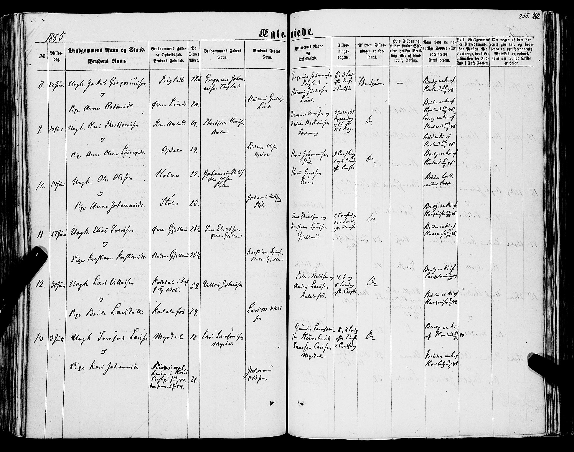 Tysnes sokneprestembete, AV/SAB-A-78601/H/Haa: Parish register (official) no. A 11, 1860-1871, p. 265