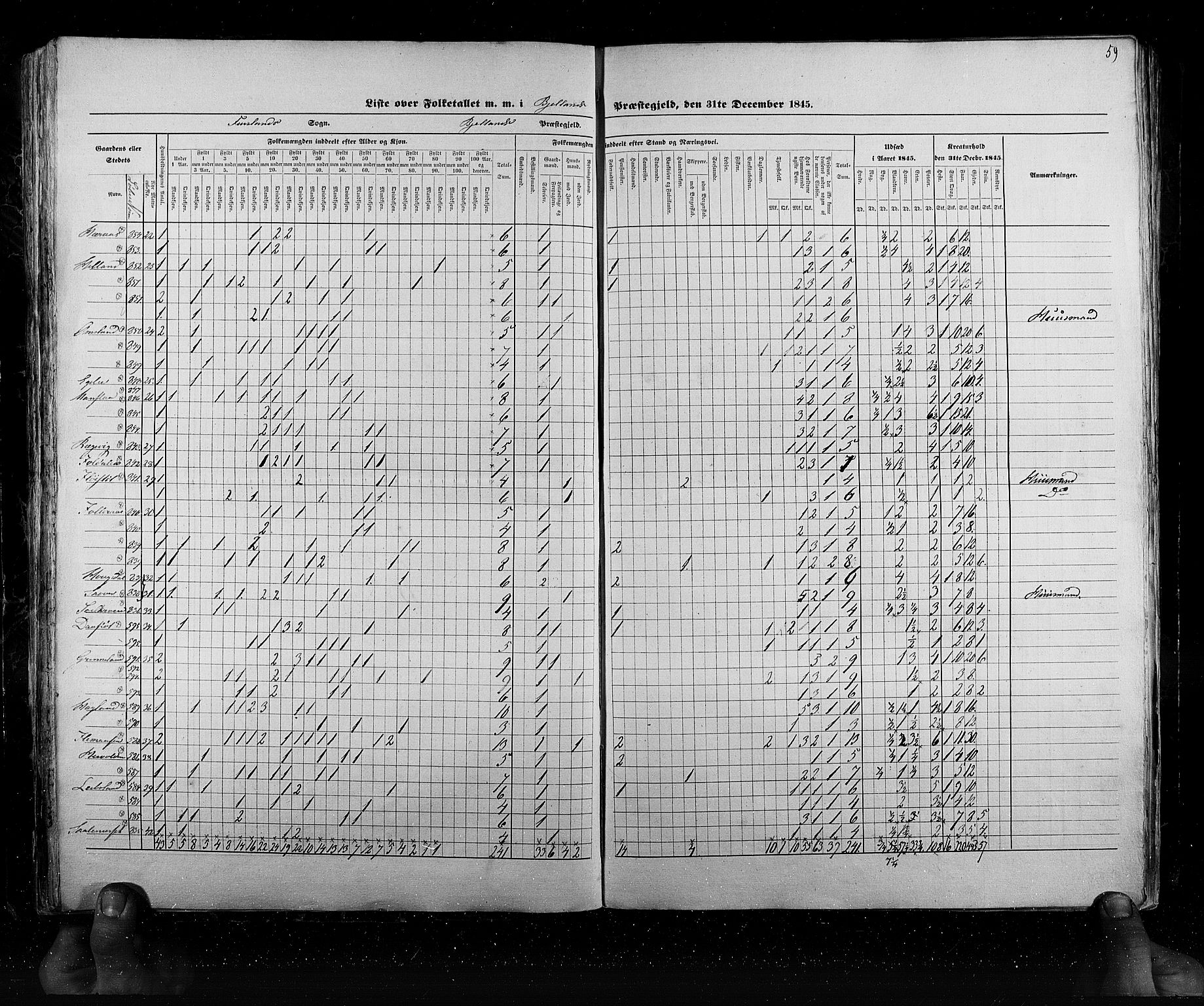 RA, Census 1845, vol. 6: Lister og Mandal amt og Stavanger amt, 1845, p. 59