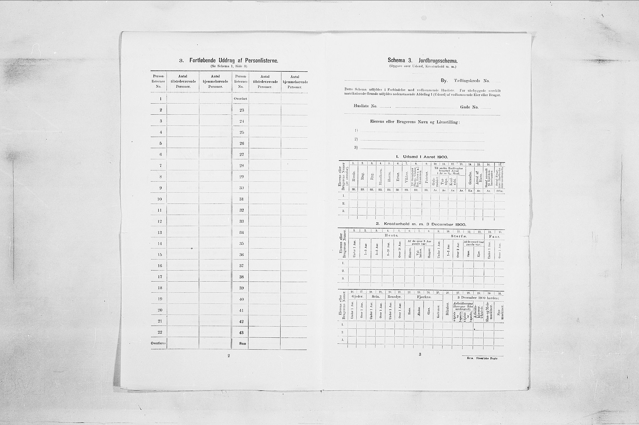 SAO, 1900 census for Fredrikstad, 1900