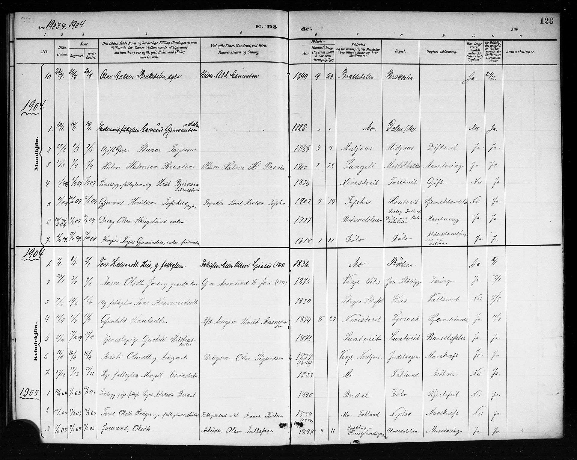 Mo kirkebøker, SAKO/A-286/G/Ga/L0002: Parish register (copy) no. I 2, 1892-1914, p. 123