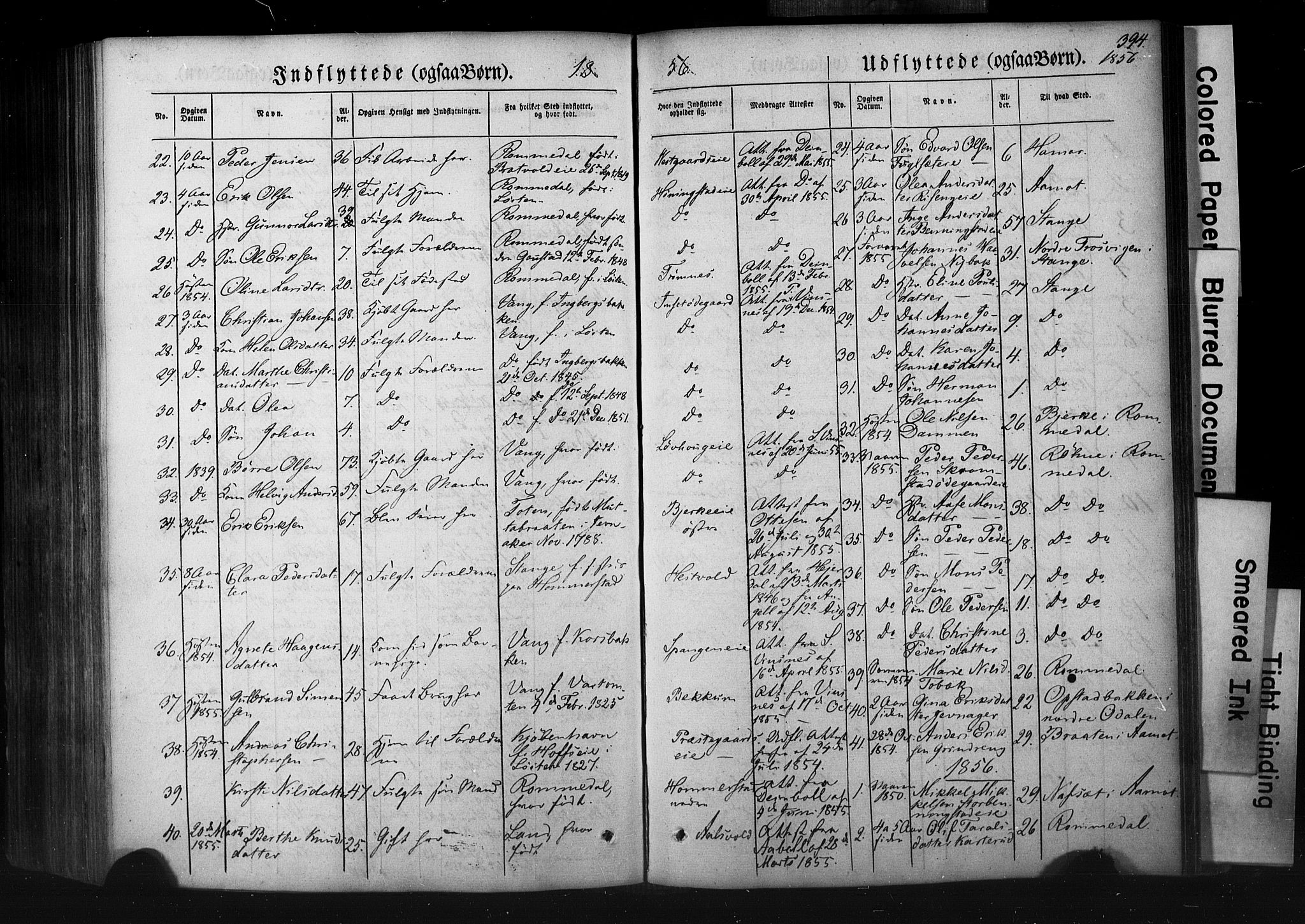 Løten prestekontor, AV/SAH-PREST-022/K/Ka/L0007: Parish register (official) no. 7, 1850-1859, p. 394