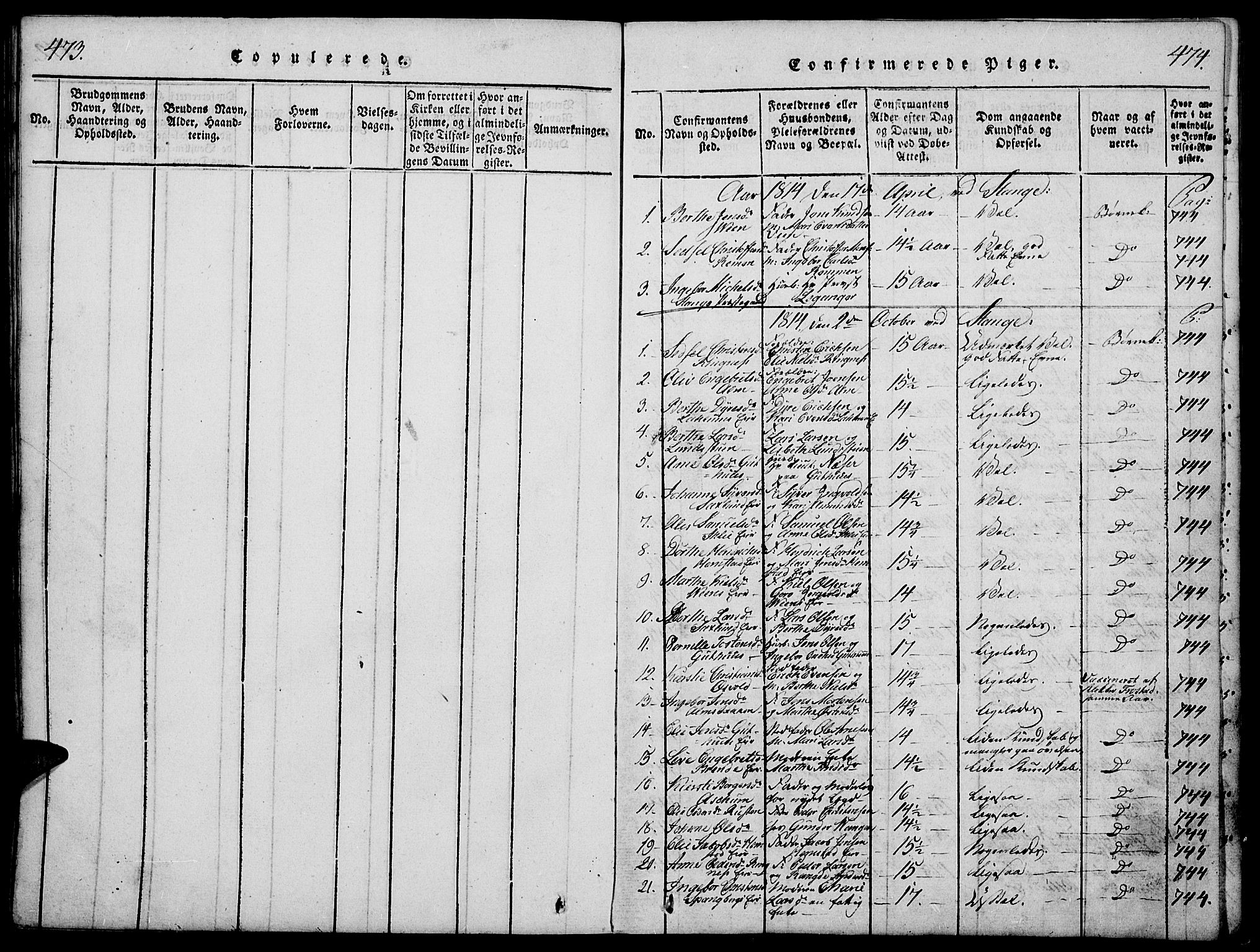 Stange prestekontor, SAH/PREST-002/K/L0008: Parish register (official) no. 8, 1814-1825, p. 473-474