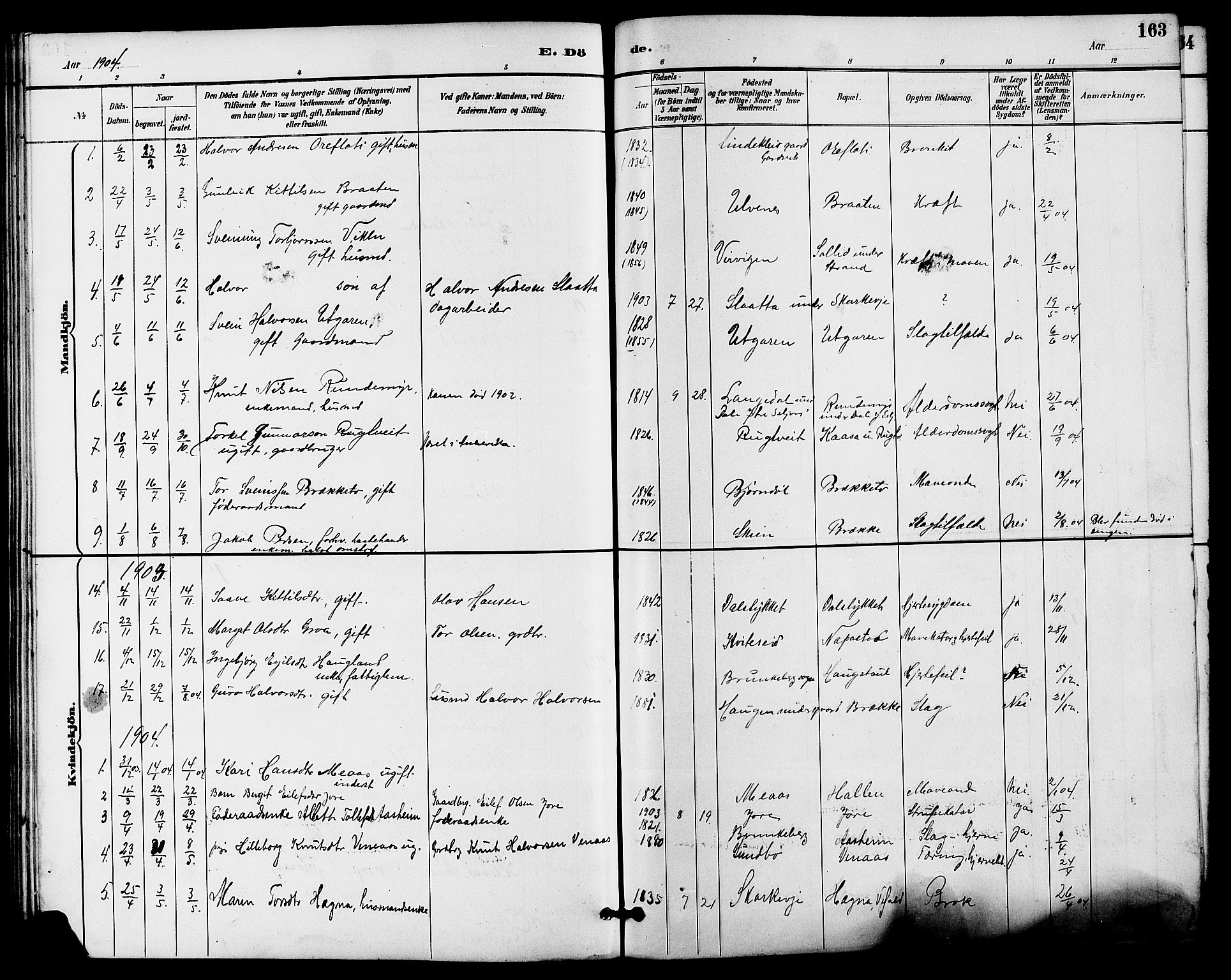 Seljord kirkebøker, SAKO/A-20/G/Ga/L0005: Parish register (copy) no. I 5, 1887-1914, p. 163