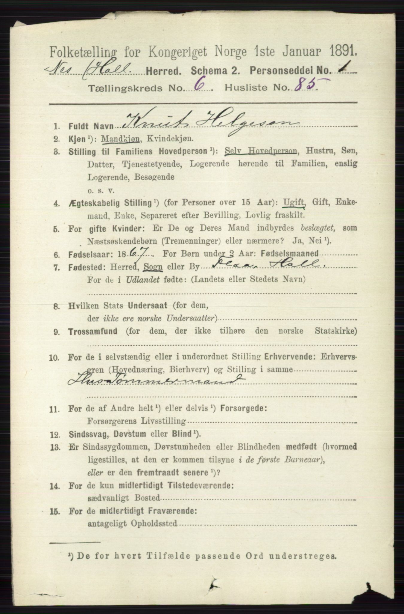 RA, 1891 census for 0616 Nes, 1891, p. 3518