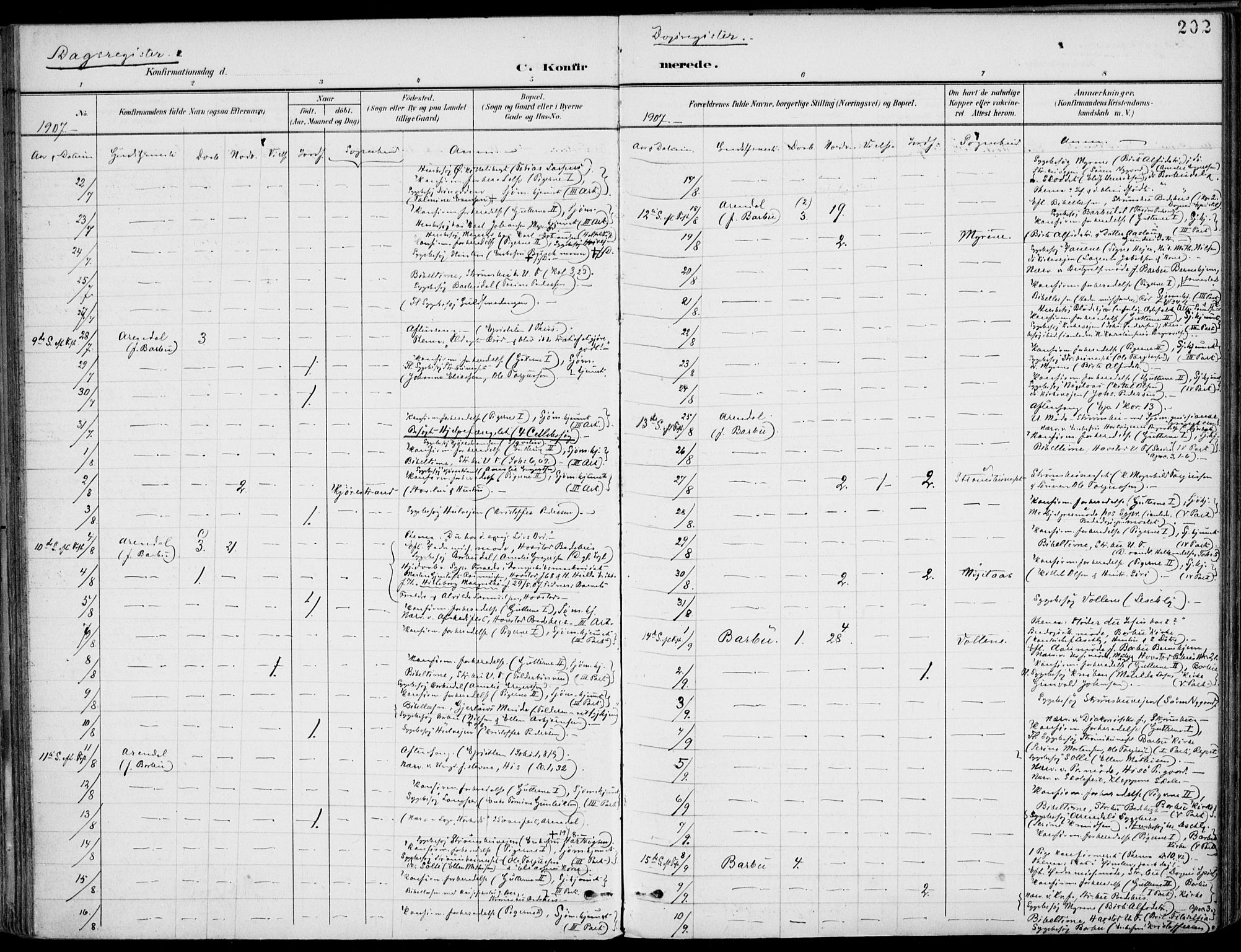 Barbu sokneprestkontor, AV/SAK-1111-0003/F/Fa/L0005: Parish register (official) no. A 5, 1899-1909, p. 202