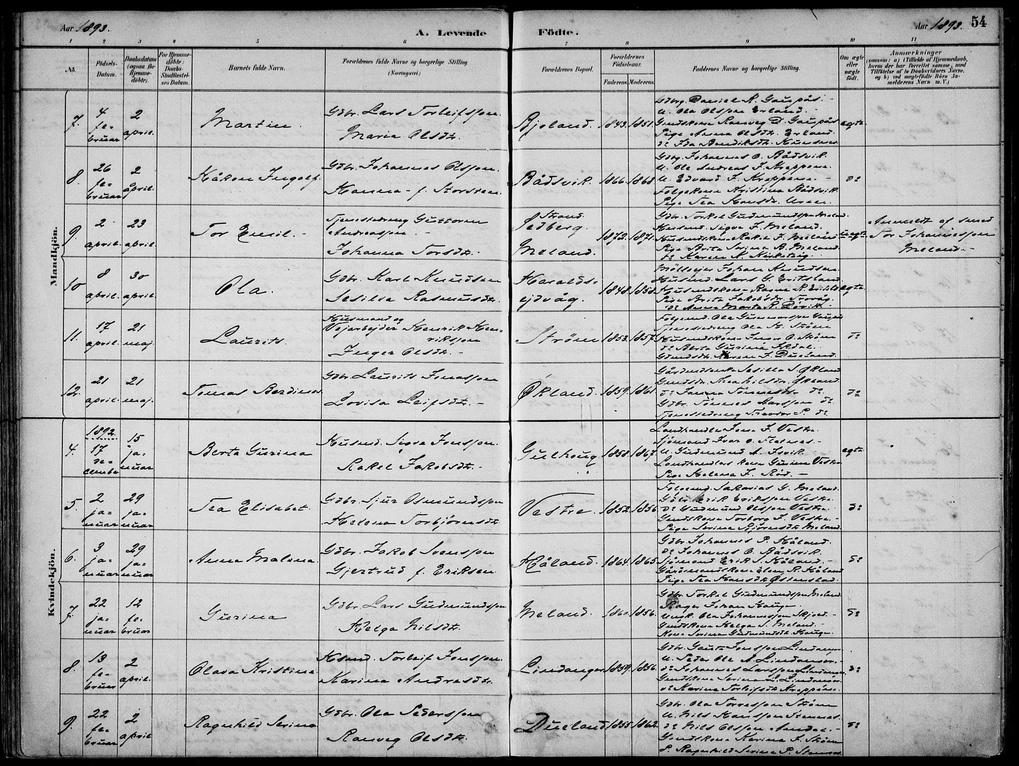 Skjold sokneprestkontor, AV/SAST-A-101847/H/Ha/Haa/L0010: Parish register (official) no. A 10, 1882-1897, p. 54