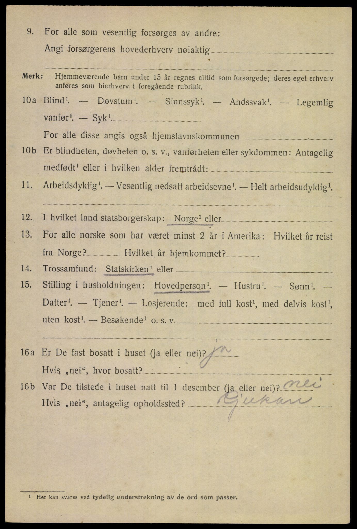 SAKO, 1920 census for Skien, 1920, p. 23163