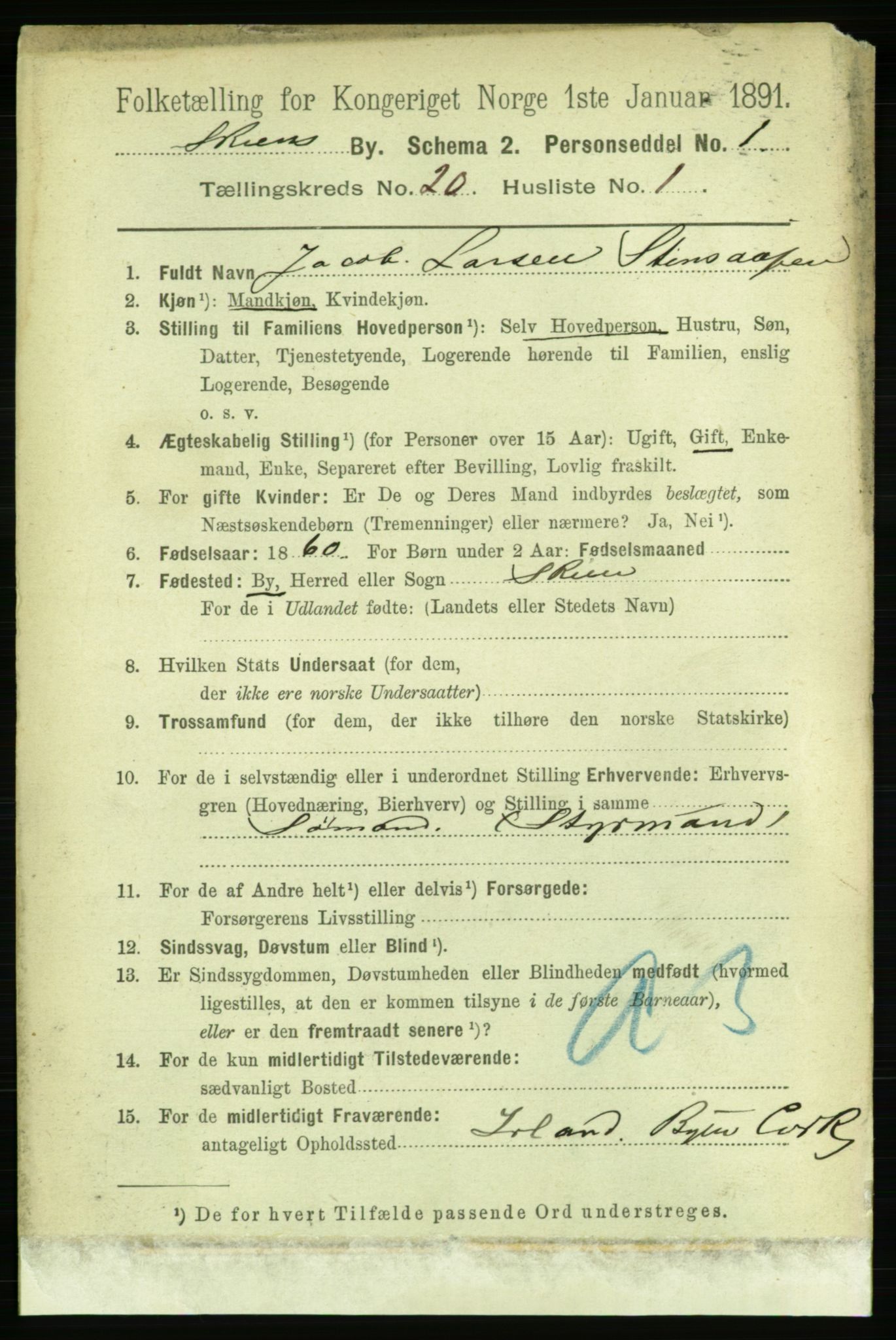 RA, 1891 census for 0806 Skien, 1891, p. 5123