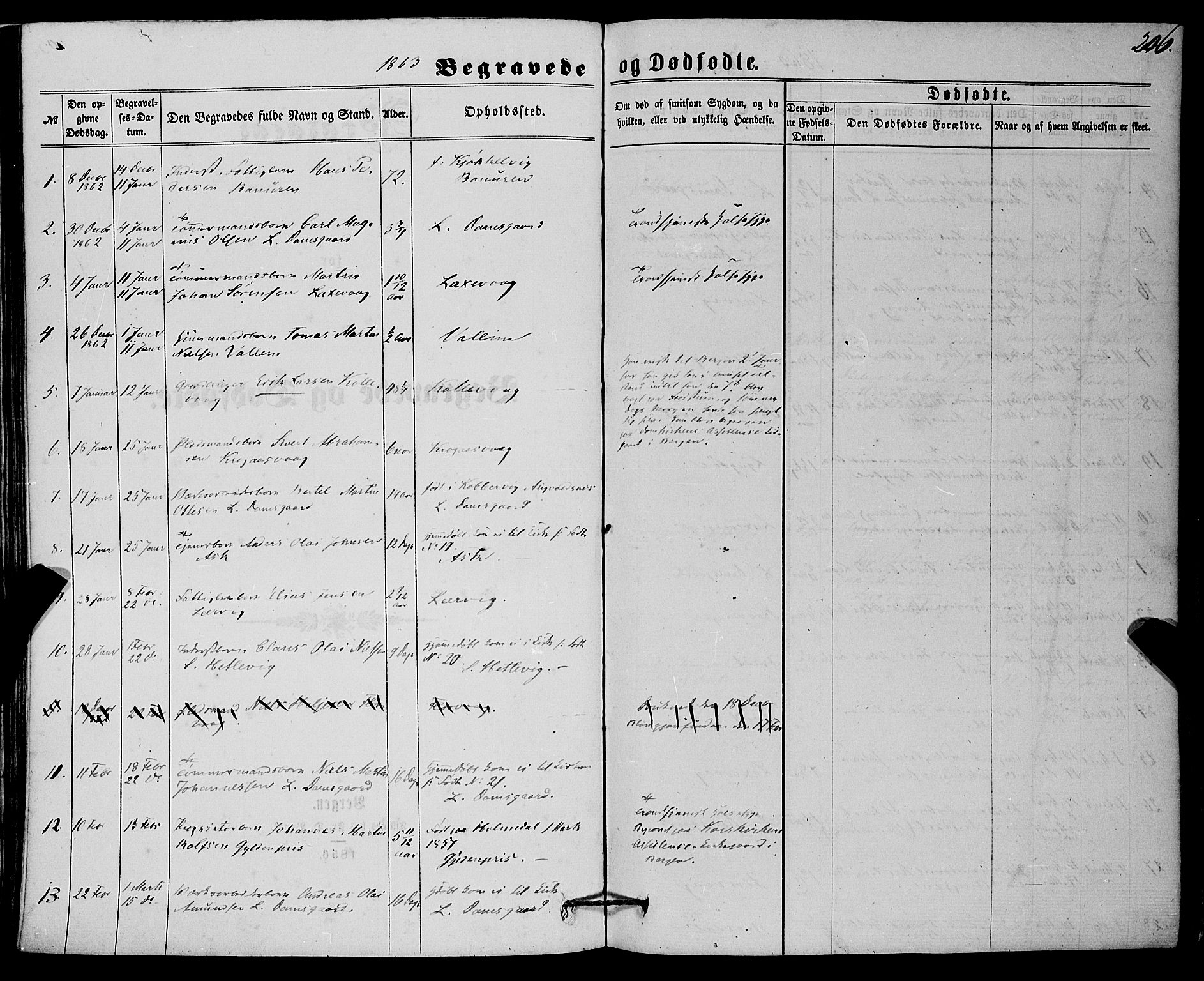 Askøy Sokneprestembete, SAB/A-74101/H/Ha/Haa/Haaa/L0009: Parish register (official) no. A 9, 1863-1877, p. 206