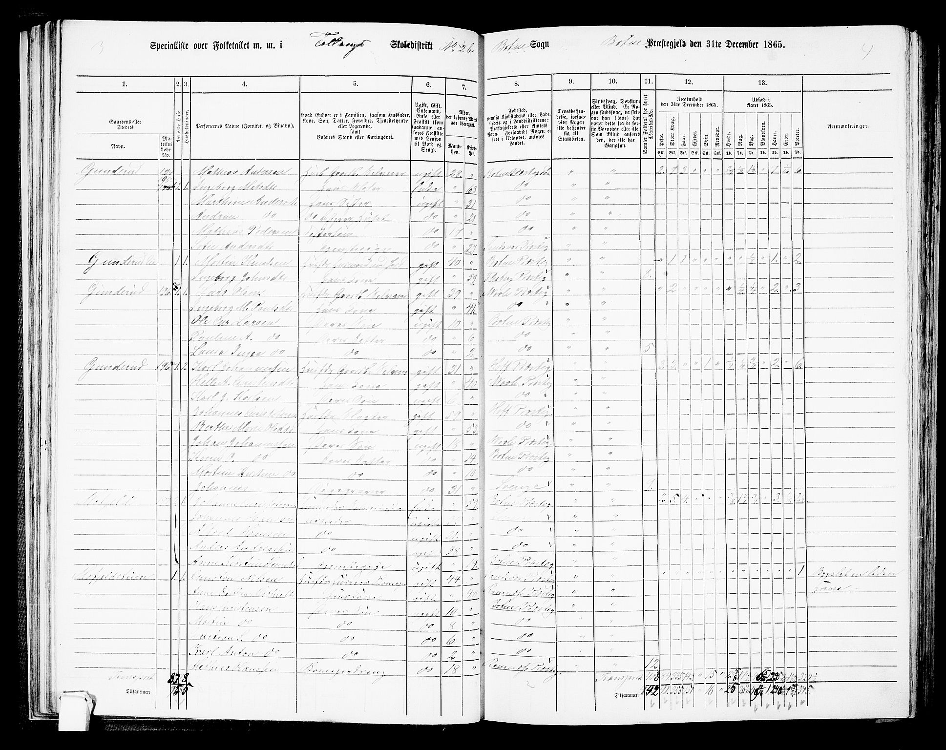 RA, 1865 census for Botne/Botne og Hillestad, 1865, p. 48