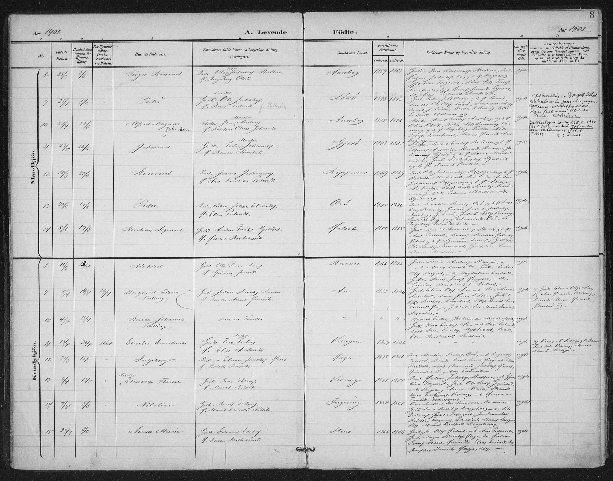 Ministerialprotokoller, klokkerbøker og fødselsregistre - Møre og Romsdal, AV/SAT-A-1454/570/L0833: Parish register (official) no. 570A07, 1901-1914, p. 8