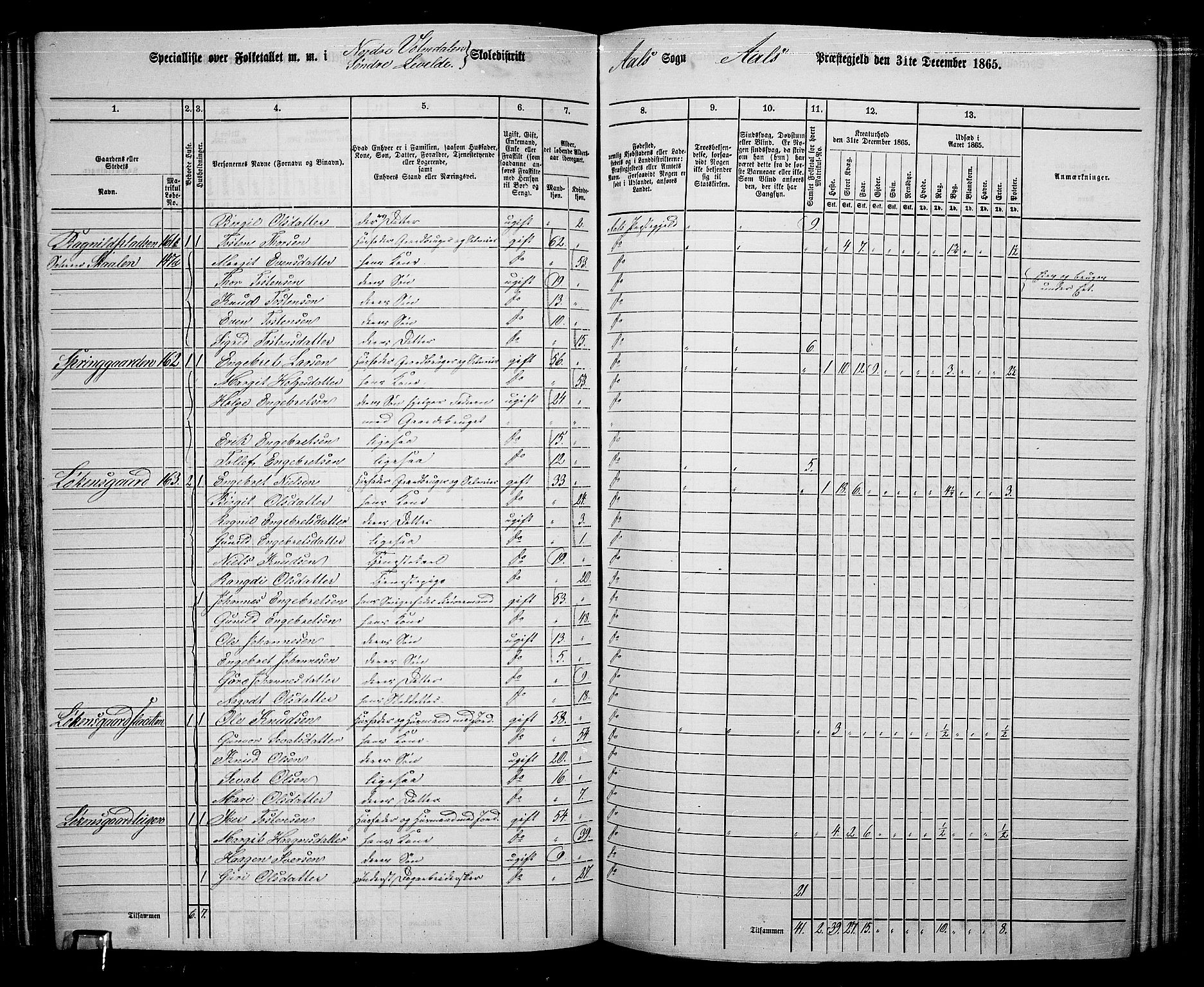 RA, 1865 census for Ål, 1865, p. 102