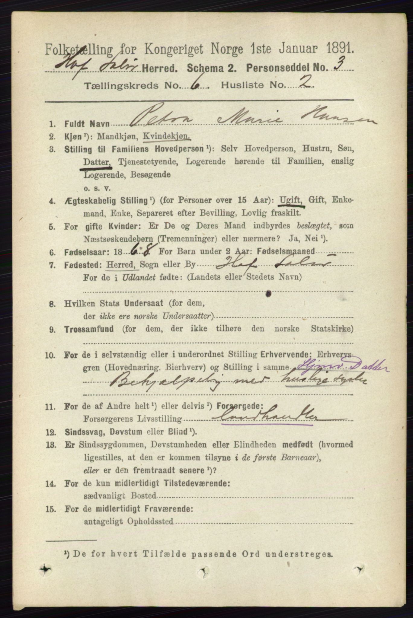 RA, 1891 census for 0424 Hof, 1891, p. 2258