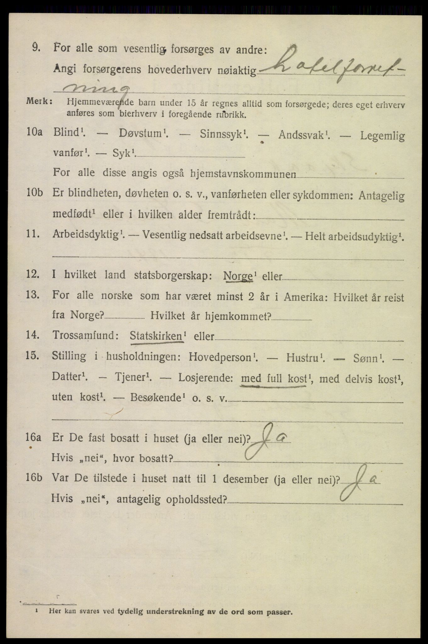 SAH, 1920 census for Skjåk, 1920, p. 3717