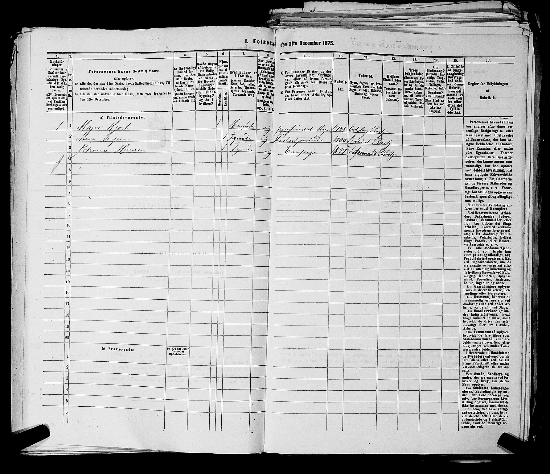 RA, 1875 census for 0116P Berg, 1875, p. 492