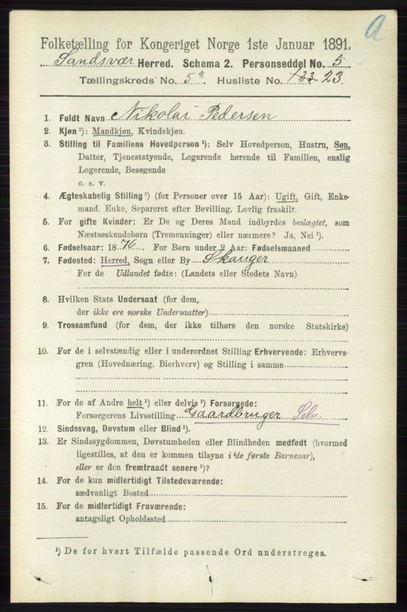 RA, 1891 census for 0629 Sandsvær, 1891, p. 2611