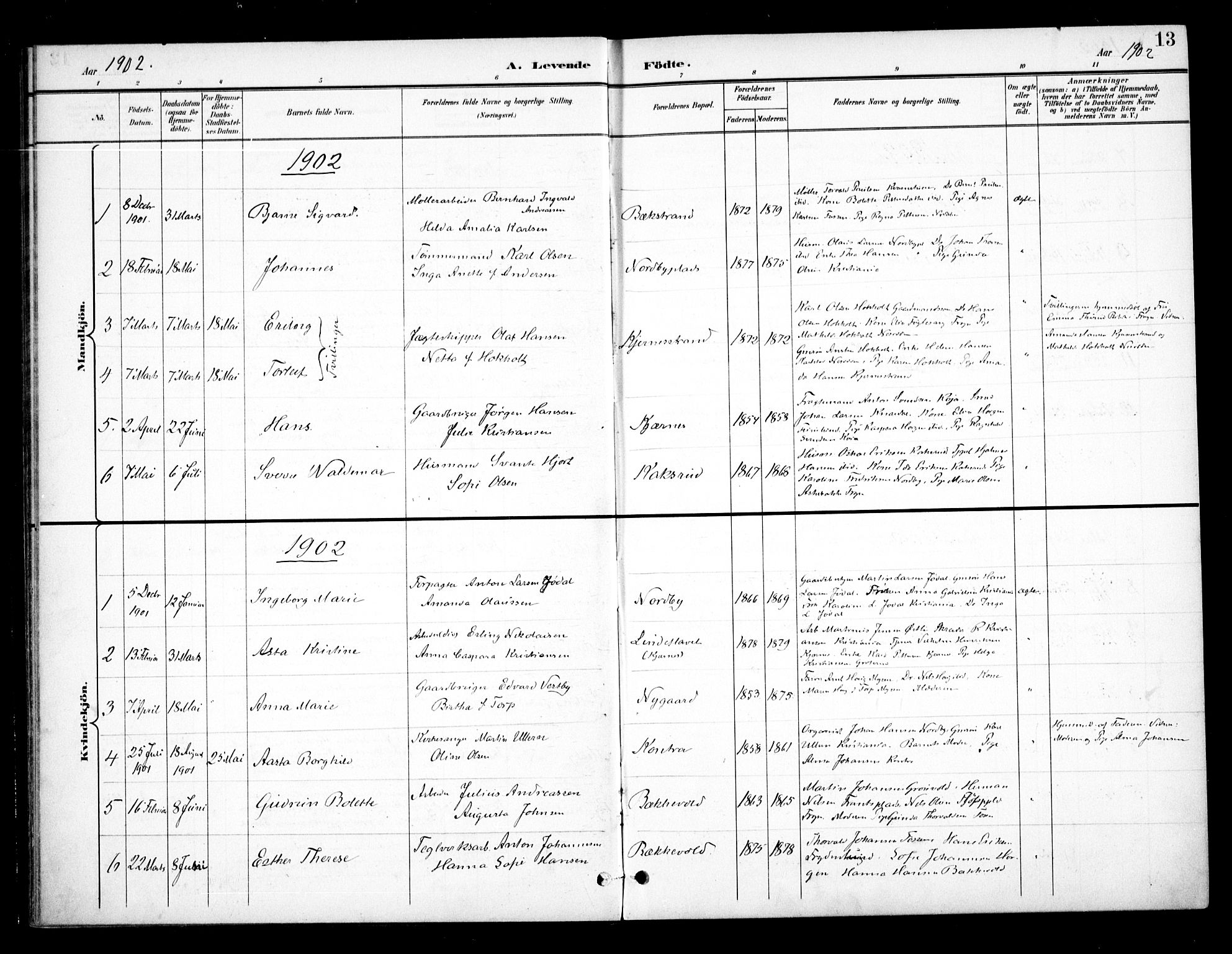 Ås prestekontor Kirkebøker, SAO/A-10894/F/Fb/L0002: Parish register (official) no. II 2, 1895-1916, p. 13