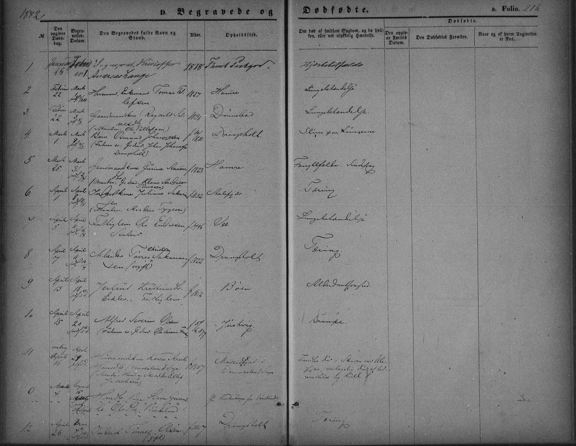 Tveit sokneprestkontor, AV/SAK-1111-0043/F/Fa/L0006: Parish register (official) no. A 6, 1872-1886, p. 216