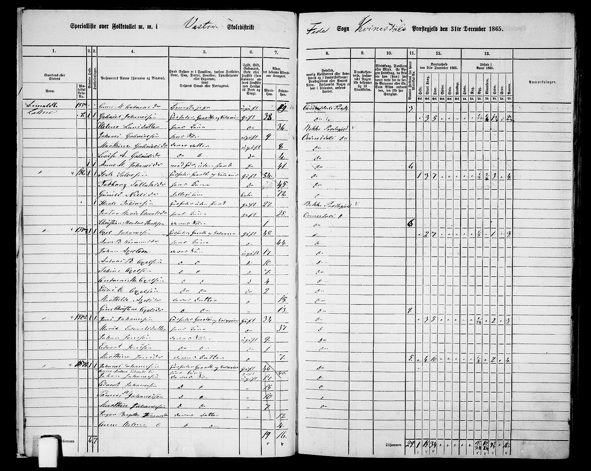 RA, 1865 census for Kvinesdal, 1865, p. 21