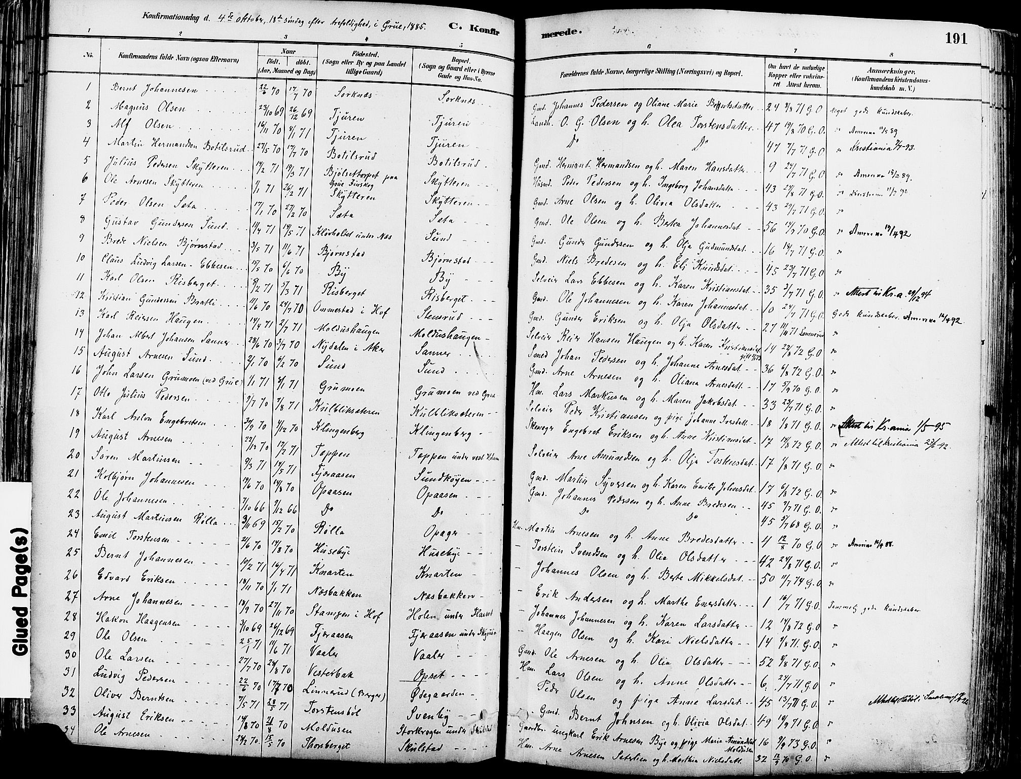 Grue prestekontor, SAH/PREST-036/H/Ha/Haa/L0012: Parish register (official) no. 12, 1881-1897, p. 191