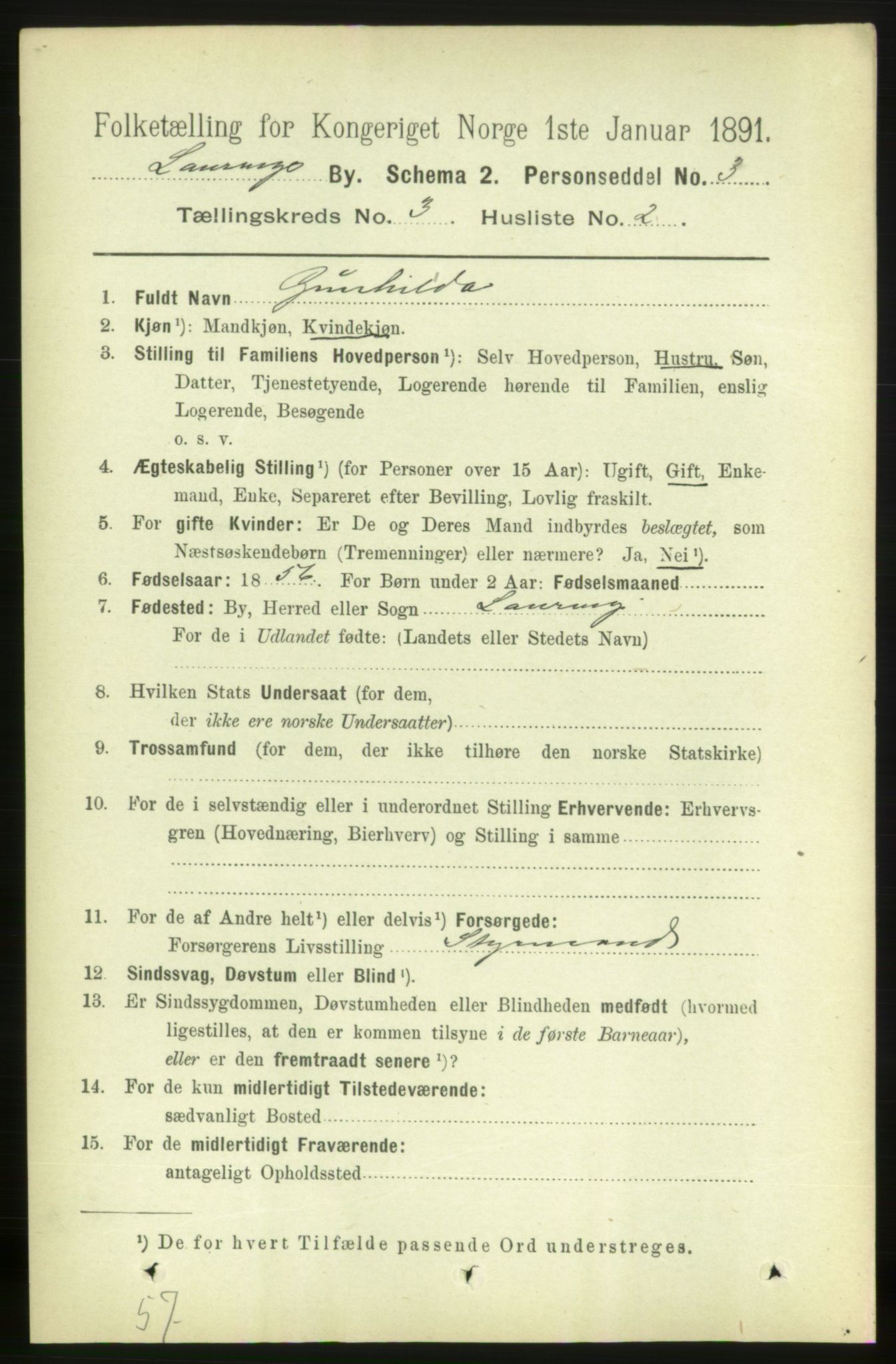 RA, 1891 census for 0707 Larvik, 1891, p. 4136