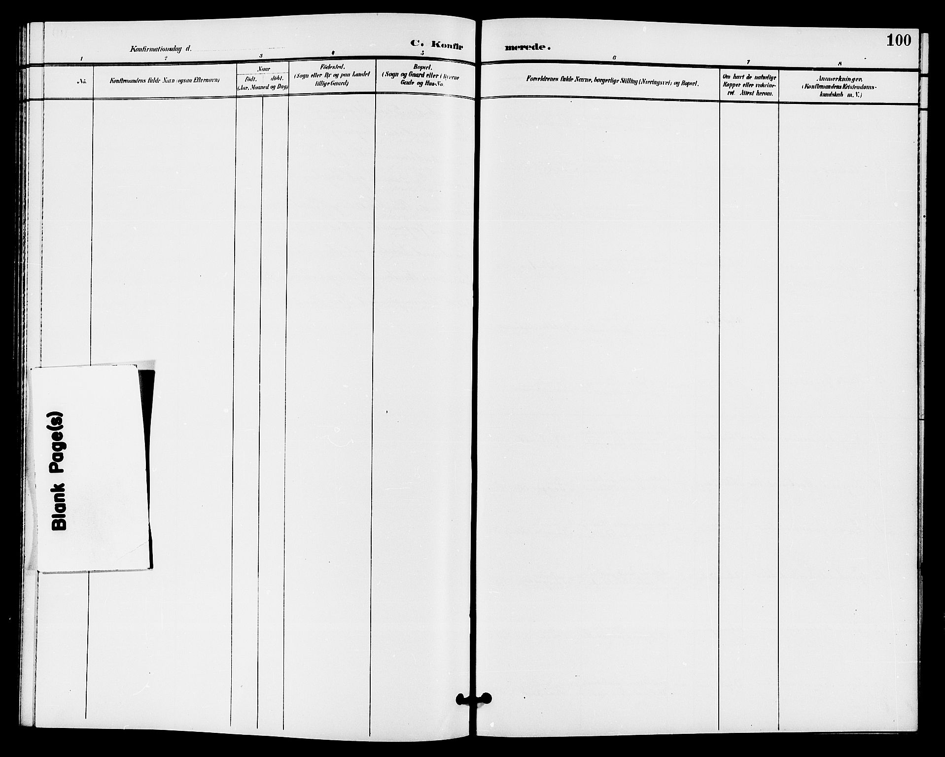 Bø kirkebøker, SAKO/A-257/G/Ga/L0006: Parish register (copy) no. 6, 1898-1909, p. 100