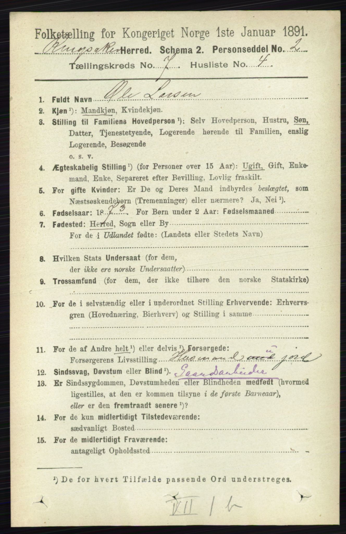 RA, 1891 census for 0412 Ringsaker, 1891, p. 3895
