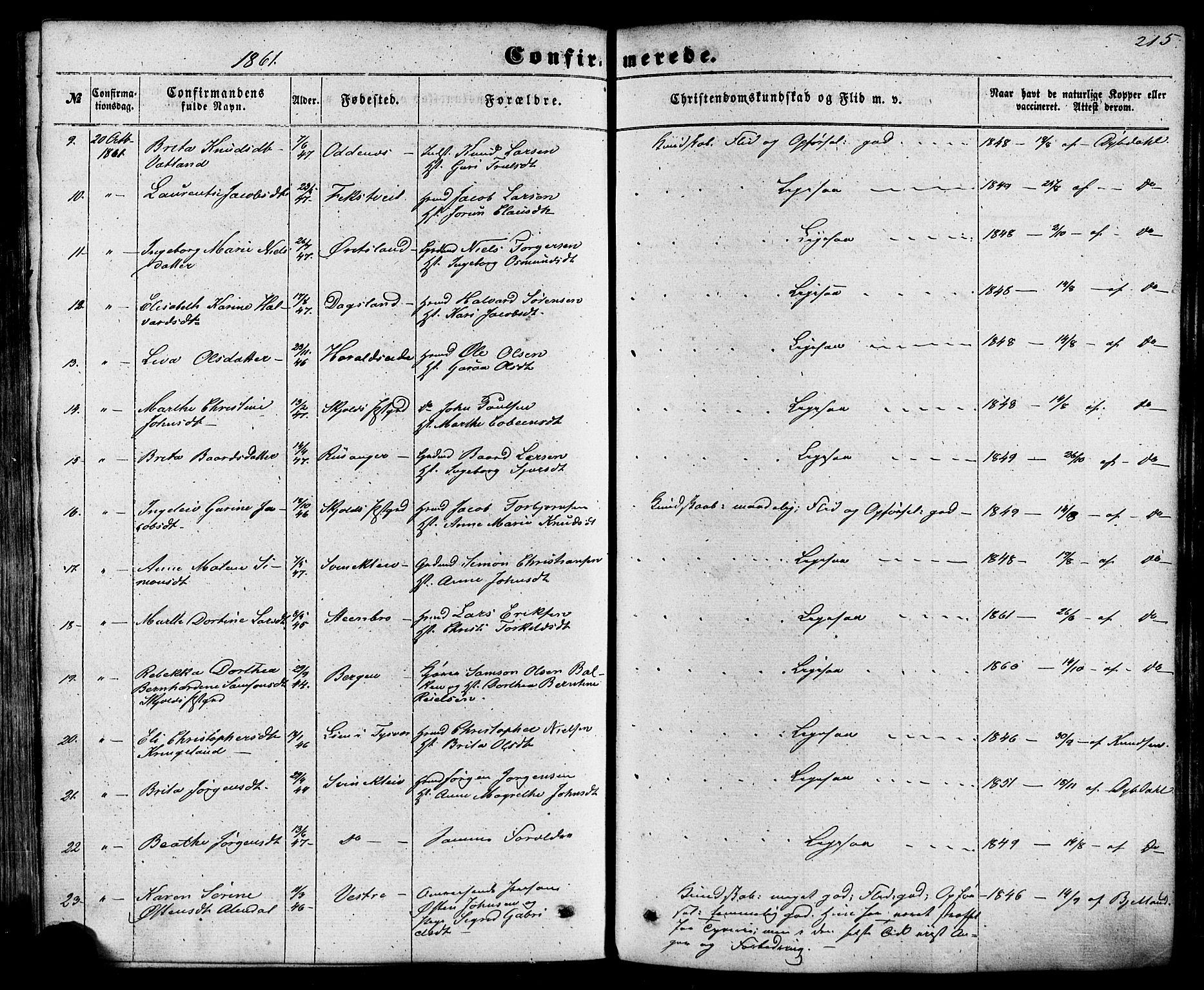 Skjold sokneprestkontor, AV/SAST-A-101847/H/Ha/Haa/L0008: Parish register (official) no. A 8, 1856-1882, p. 215