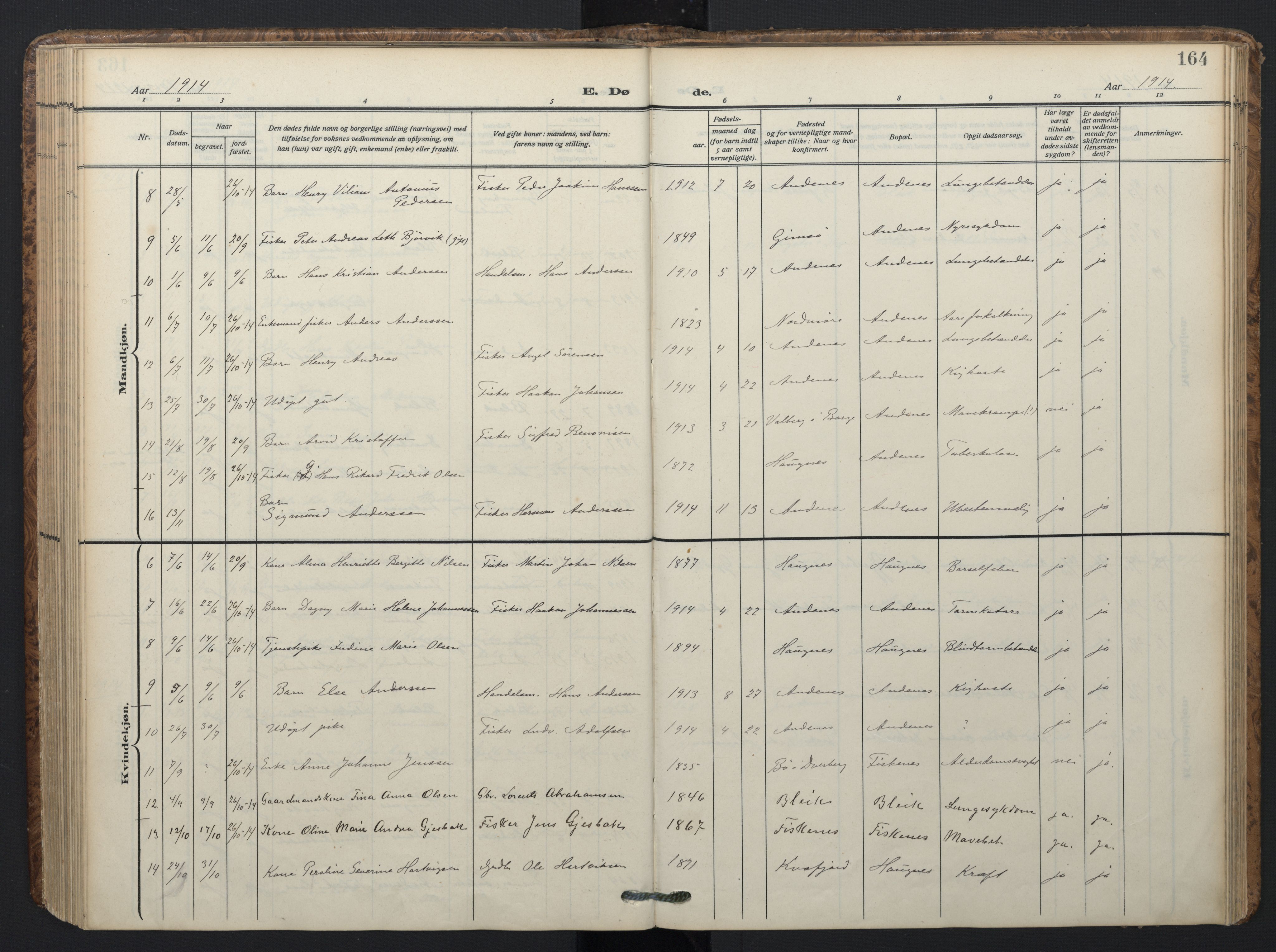 Ministerialprotokoller, klokkerbøker og fødselsregistre - Nordland, SAT/A-1459/899/L1438: Parish register (official) no. 899A06, 1909-1922, p. 164
